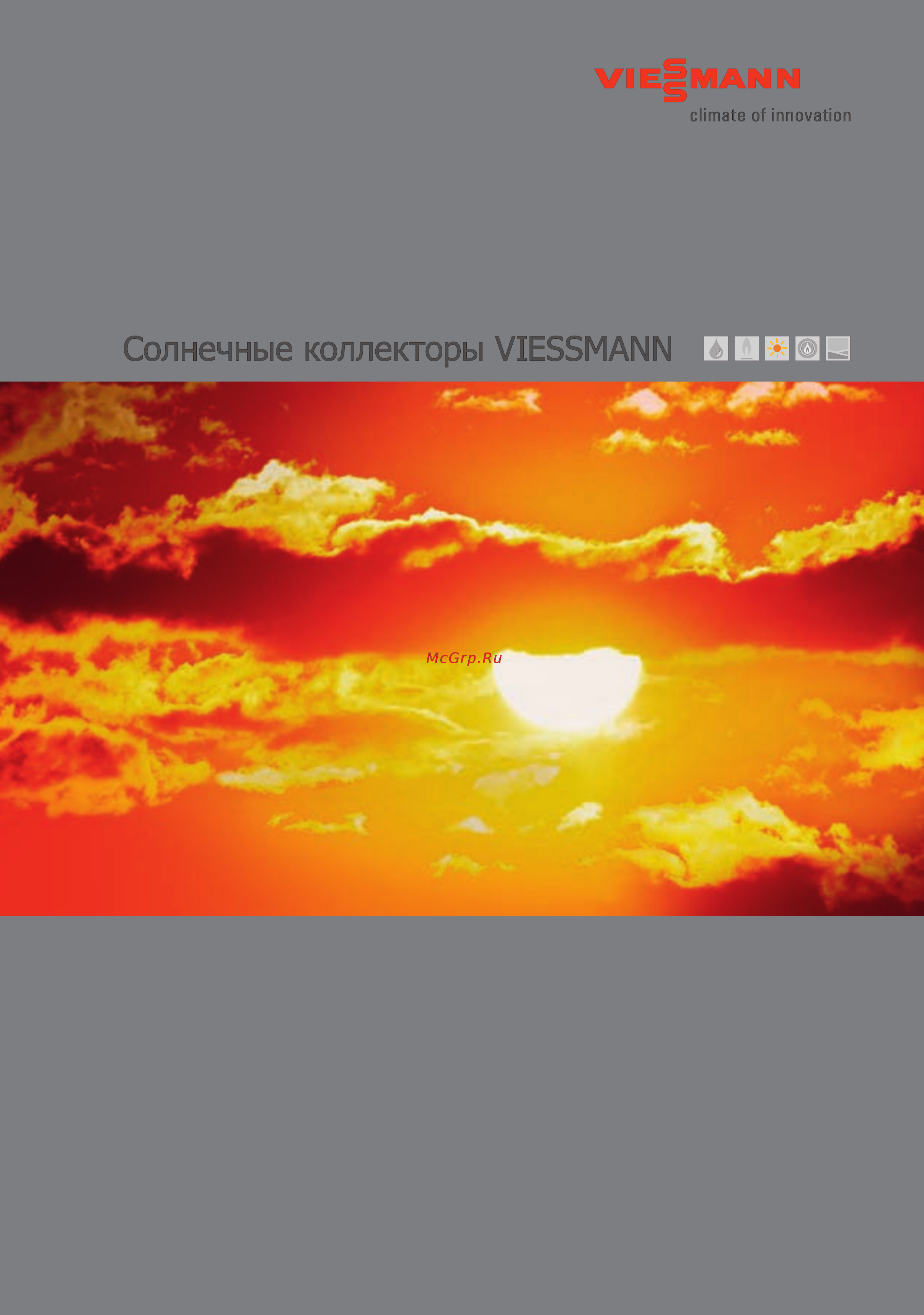 Viessmann VITOSOL 100-F Брошюра онлайн