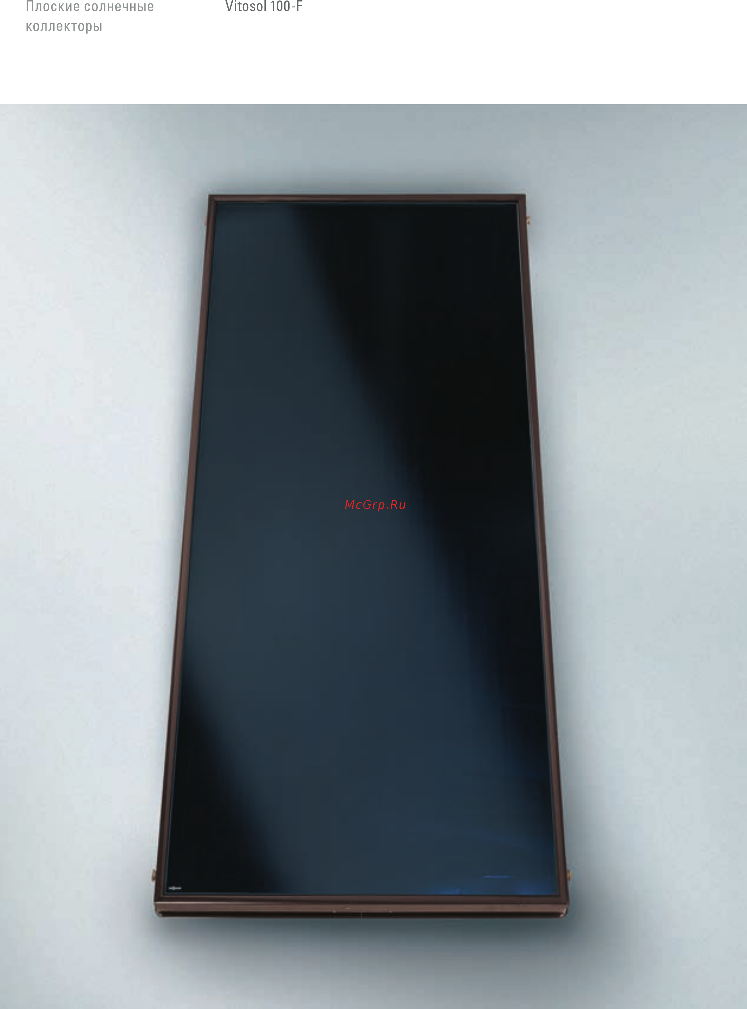 Viessmann VITOSOL 100-F Брошюра онлайн [12/20] 395844