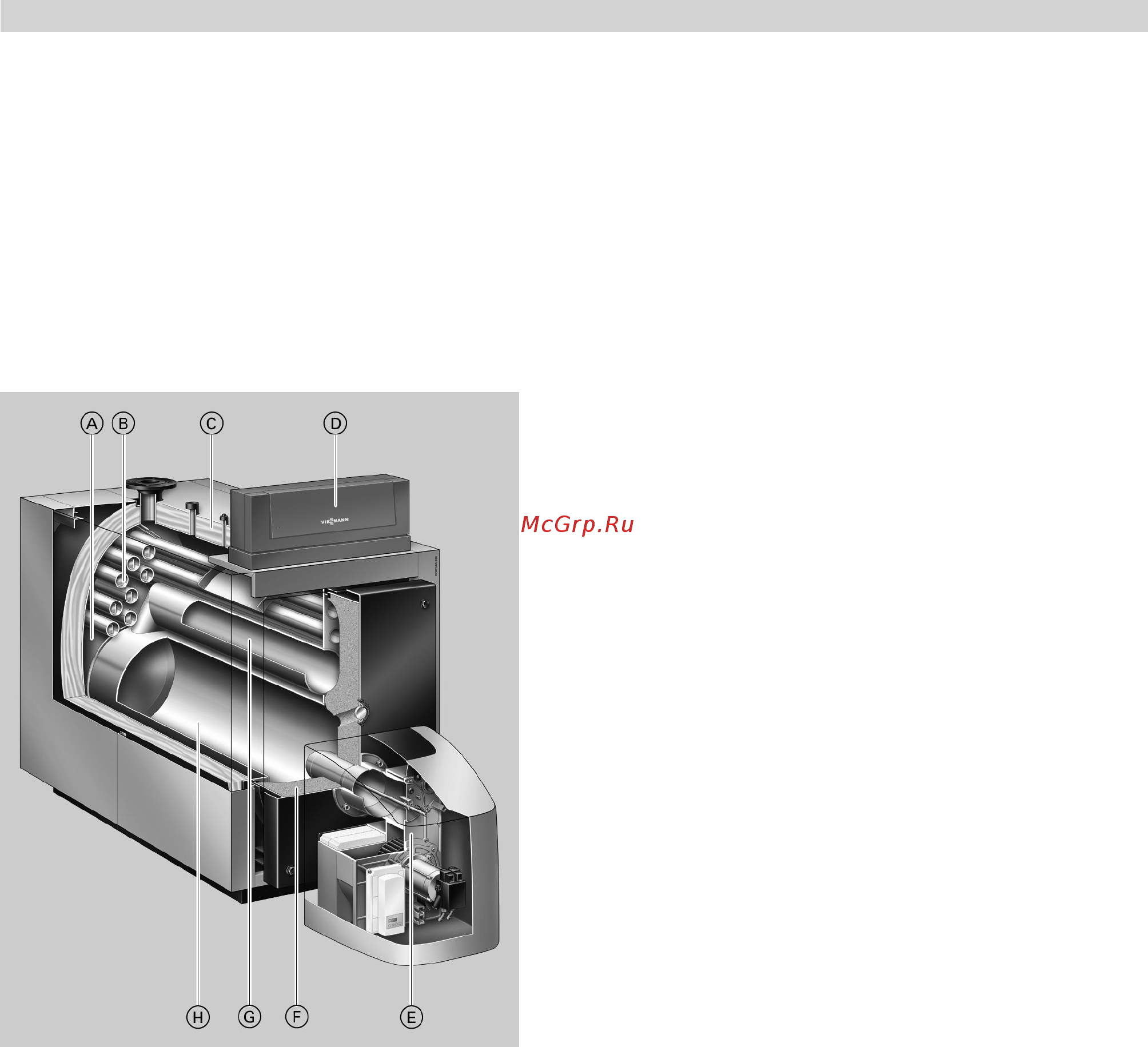 Viessmann Vitoplex 200 [2/14] Viesmann