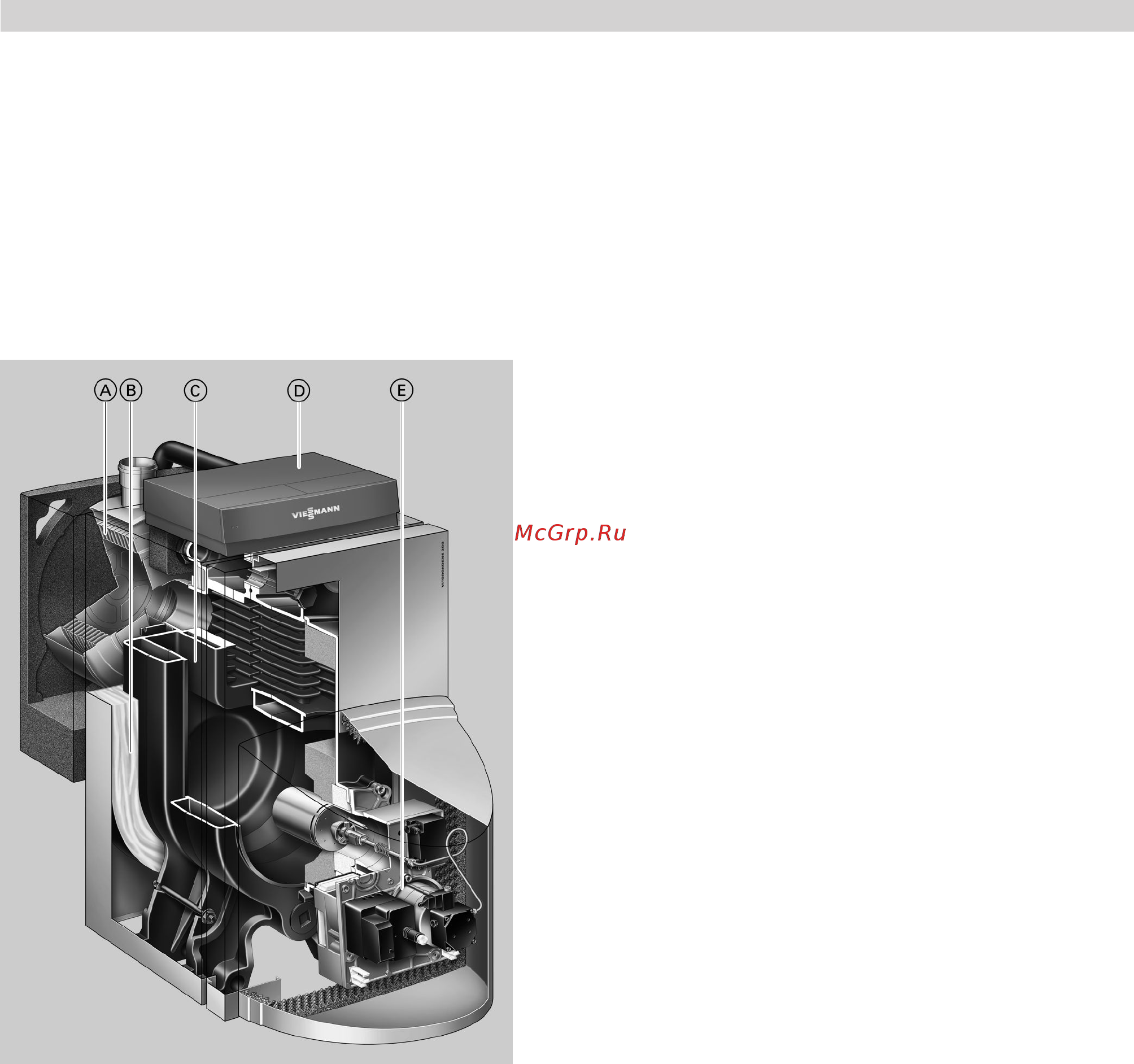 Viessmann Vitorondens 200-T [2/10] Vitorondens 200 t тип br2a
