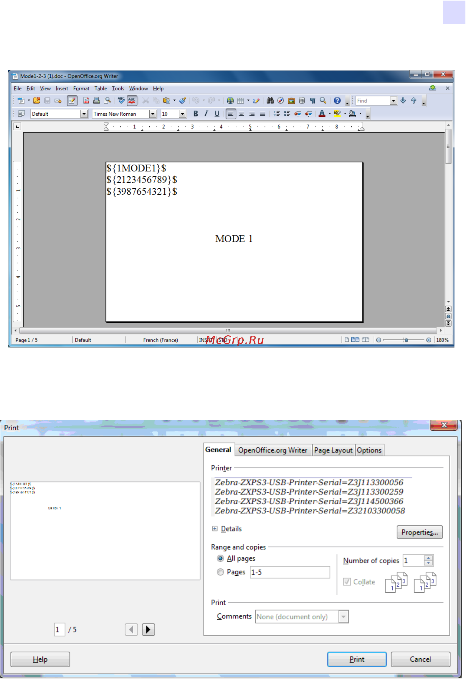 Zebra ZXP 1 [31/38] Magnetic encoding using libre office