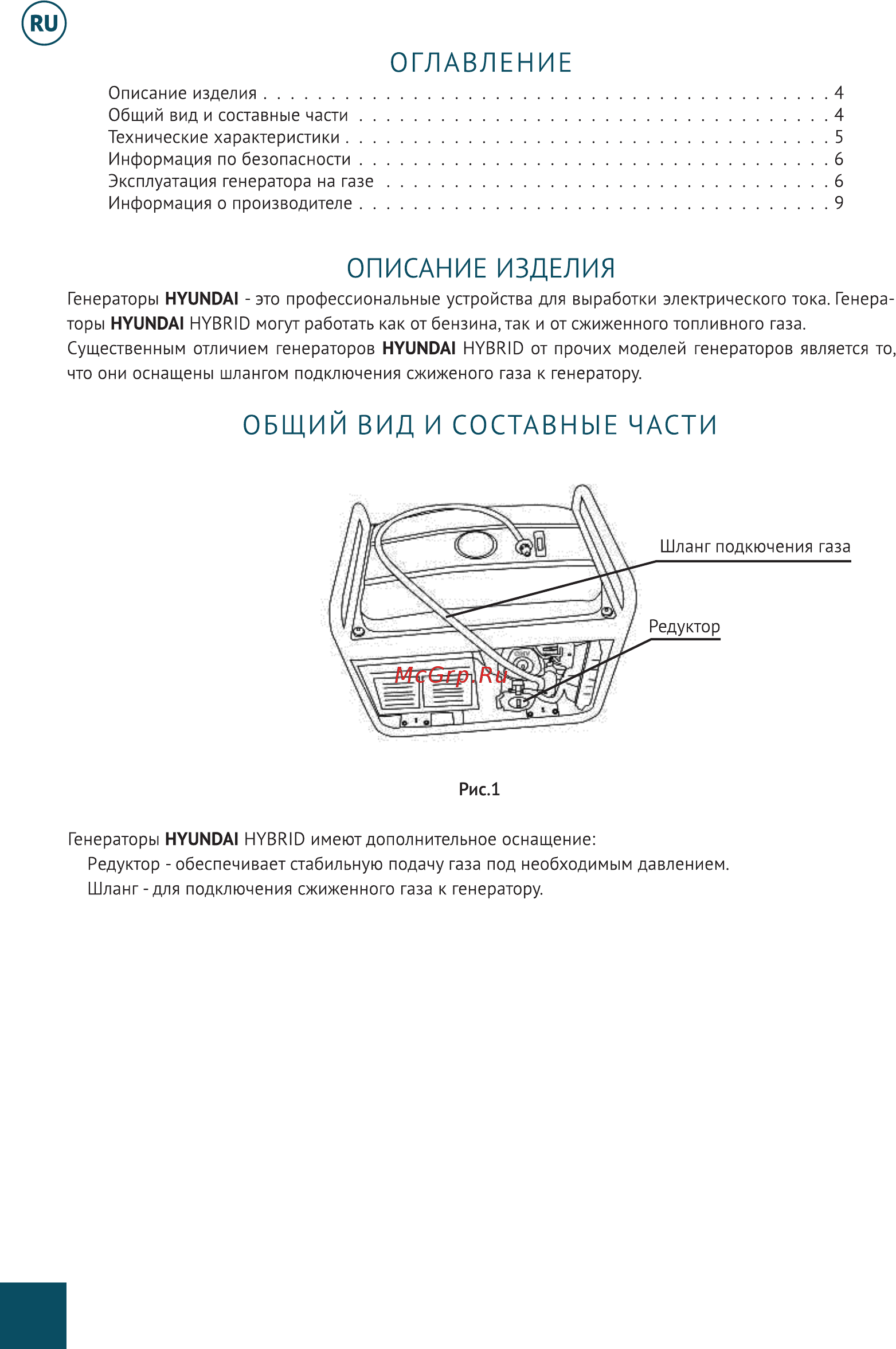 Hyundai HHY 7020FGE Руководство пользователя онлайн [4/20] 404110