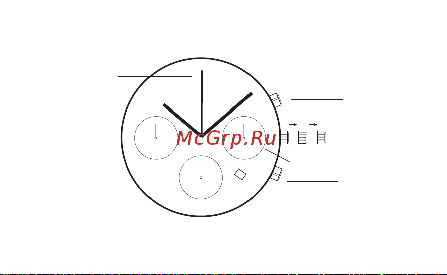 OBAKU V146LXCLRZ Инструкция по эксплуатации онлайн [17/19] 405117