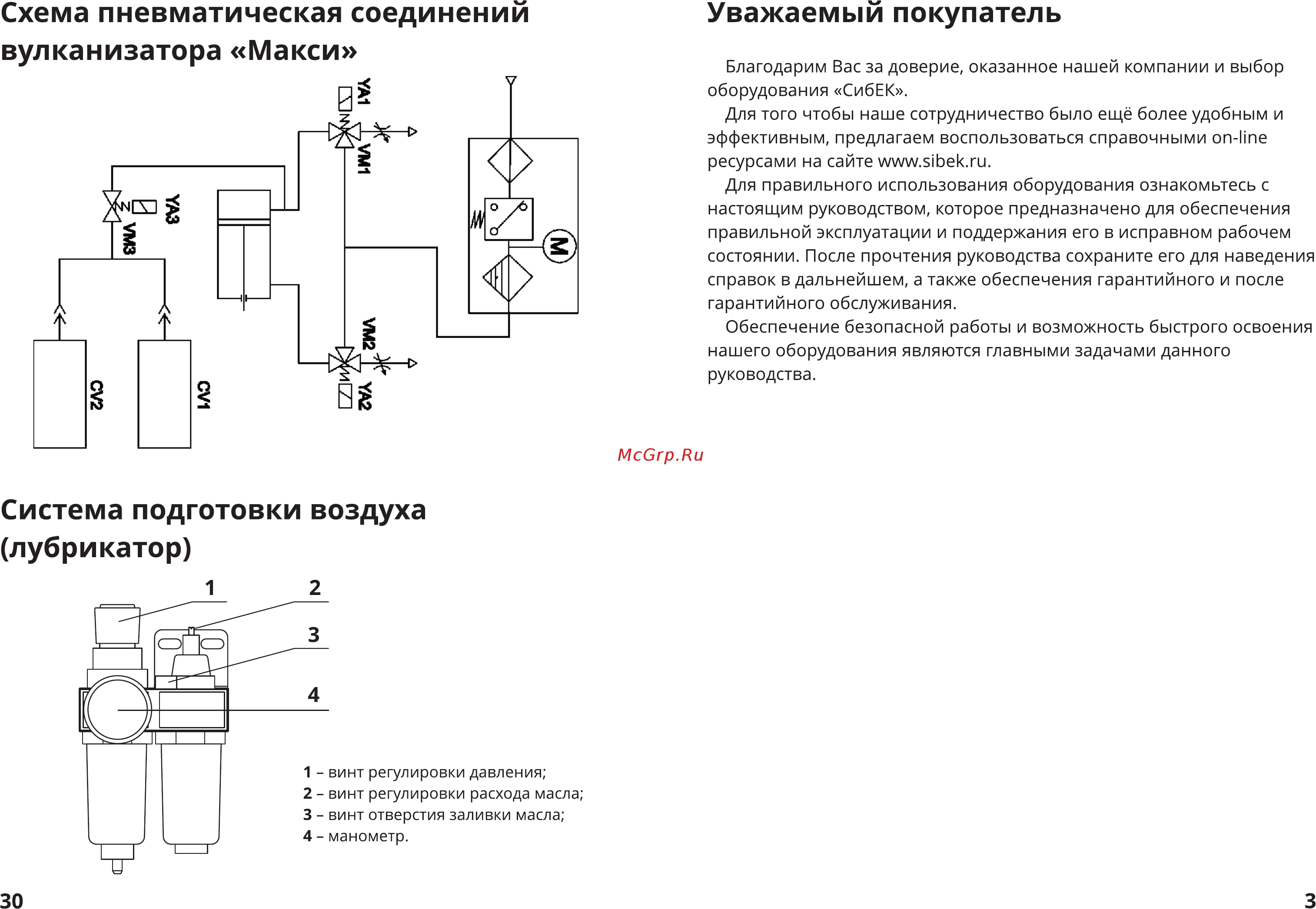 СибЕК Макси [3/16] Схема пневматическая соединений вулканизатора макси