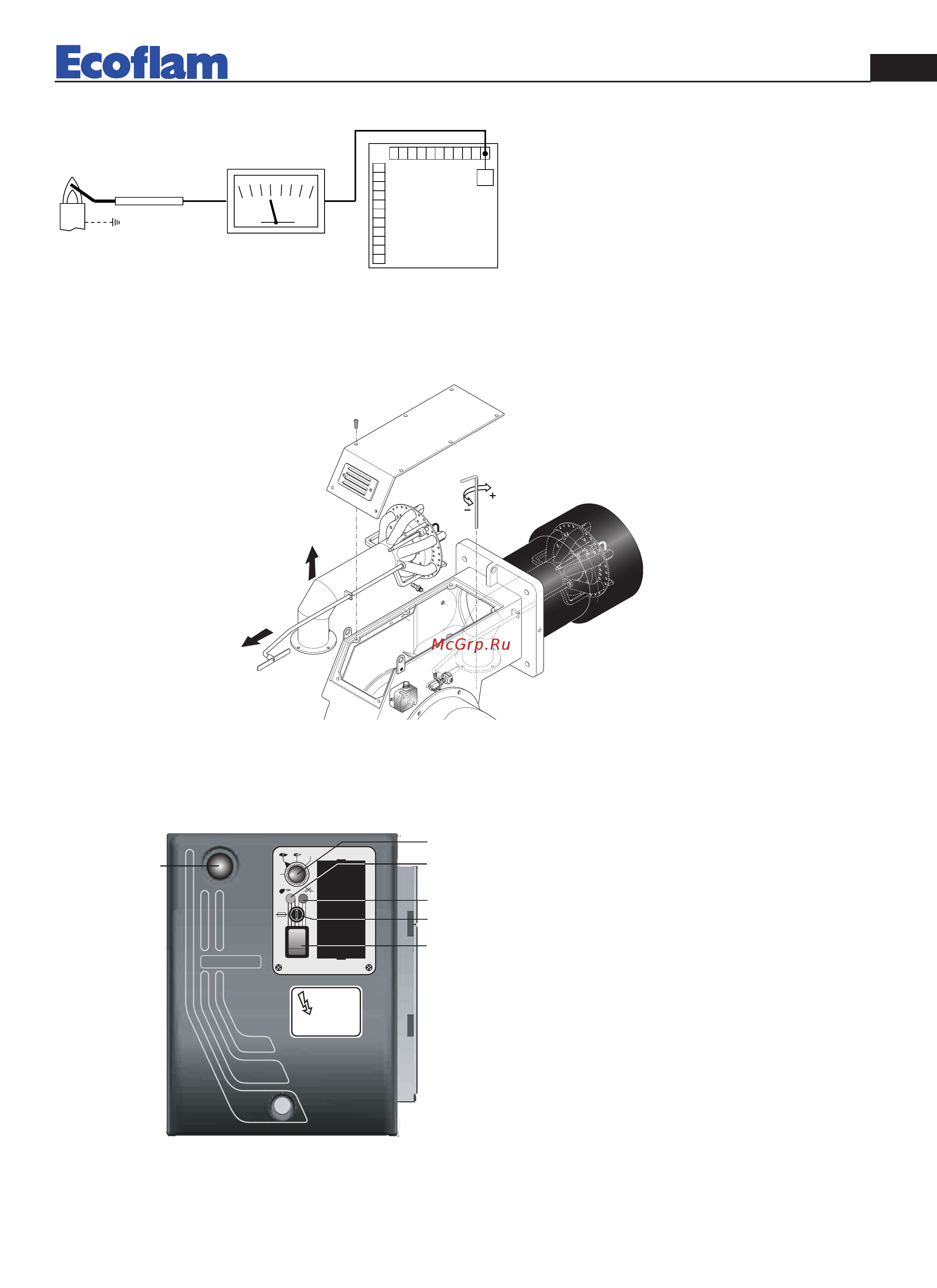 Ecoflam BLU 3000.1 PR TC - VGD 40.065 [7/40] Controllo sistema di rilevazione fiamma