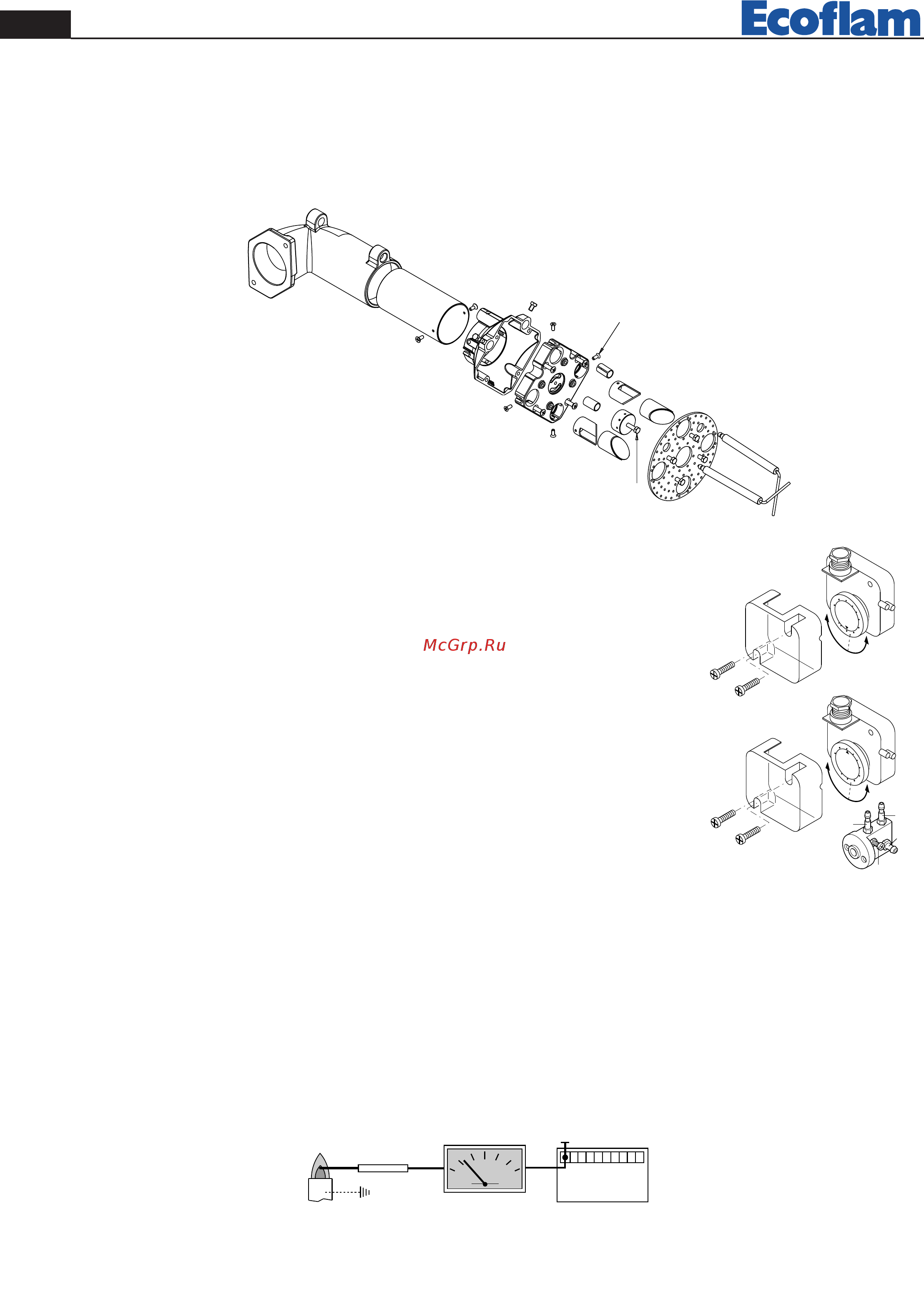 Ecoflam BLU 1500.1 PR Low NOx TL - MB-DLE 415 [6/40] Corrente di ionizzazione