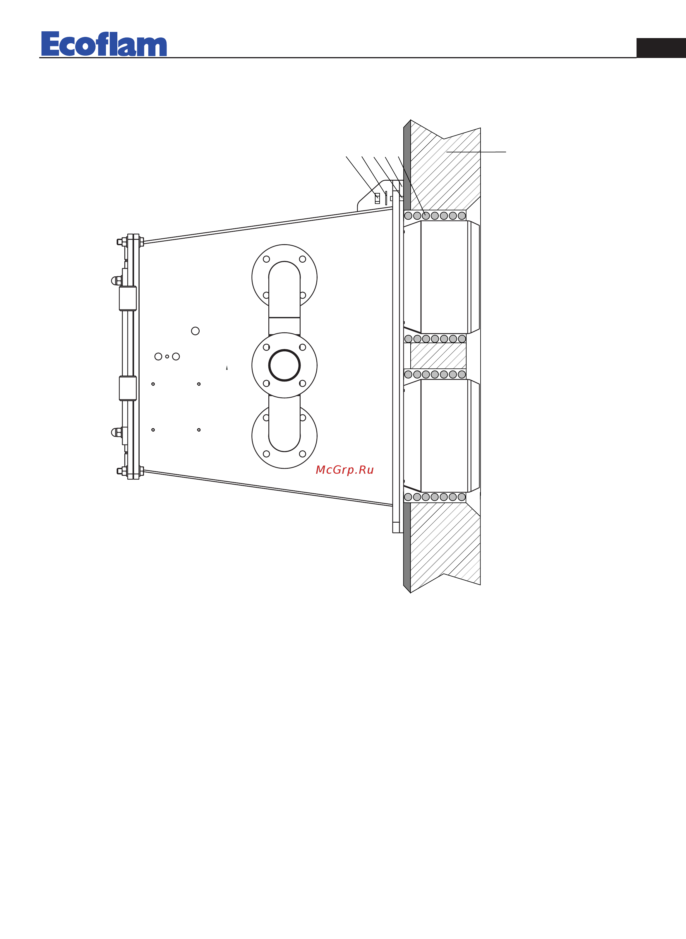 Ecoflam BLU 18000.1 PR Four Head [5/28] Burner installation