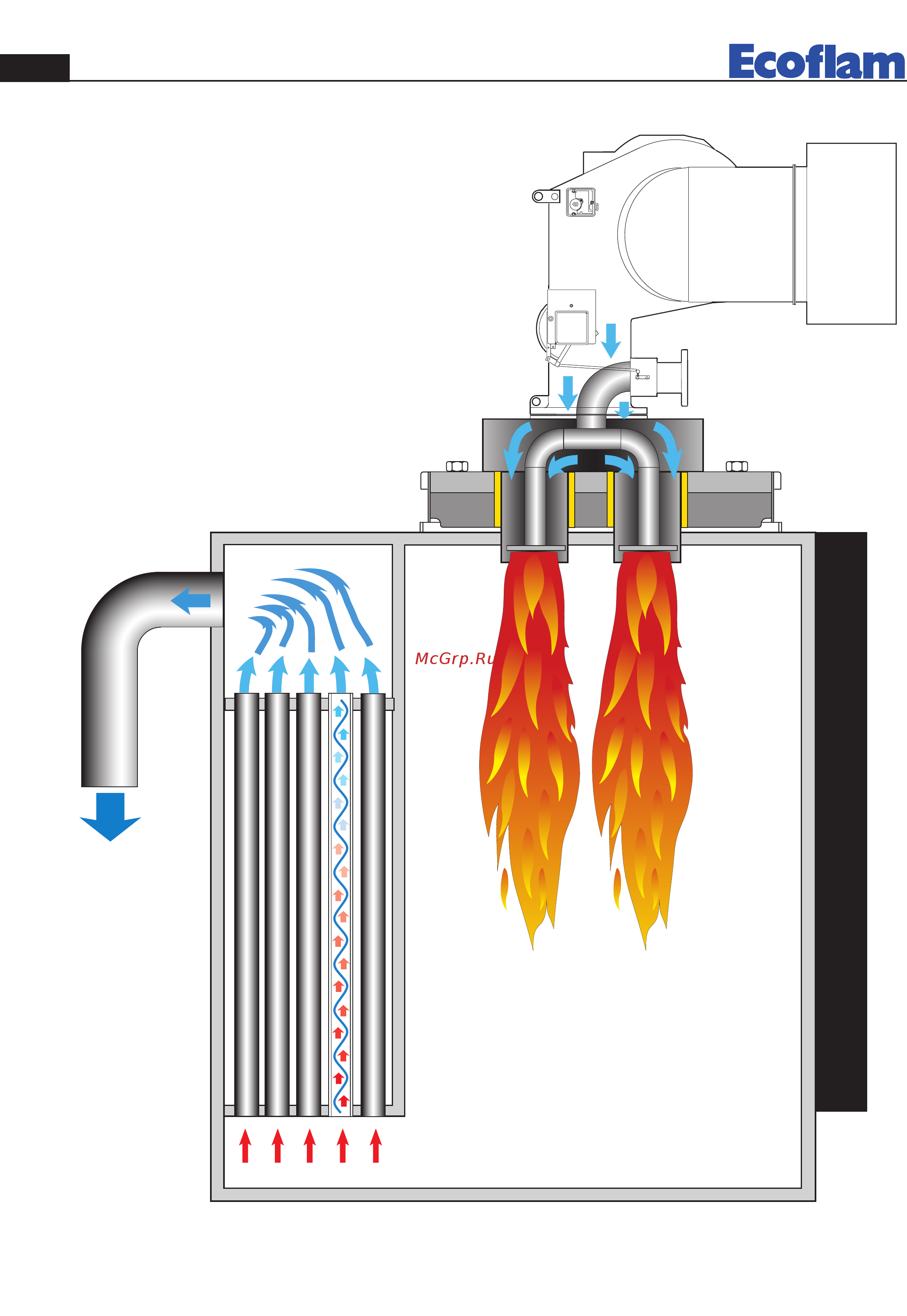 Ecoflam BLU 18000.1 PR Four Head [6/28] Boiler installation