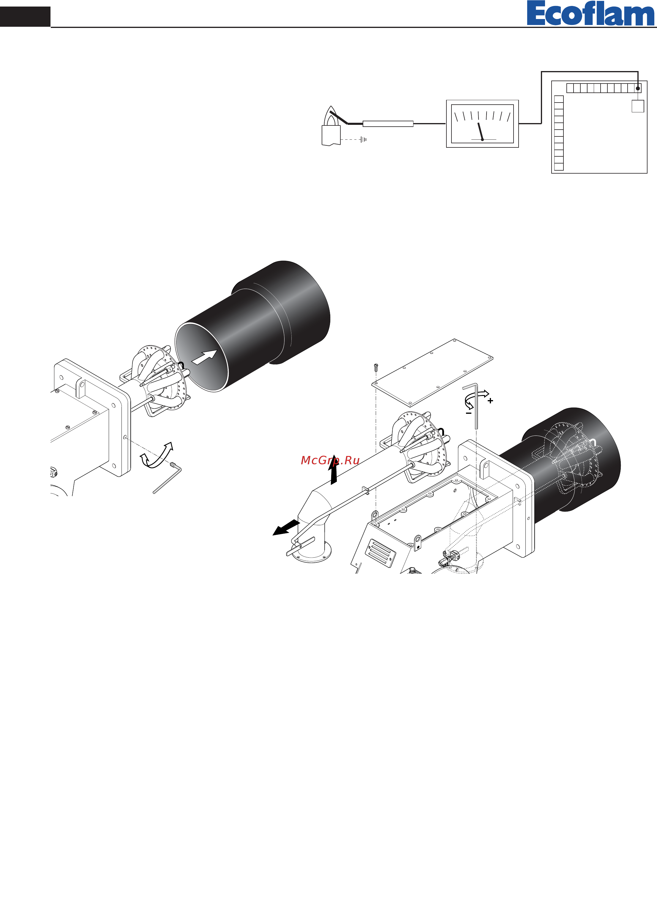 Ecoflam BLU 15000.1 PR [8/48] Controllo sistema di rilevazione fiamma