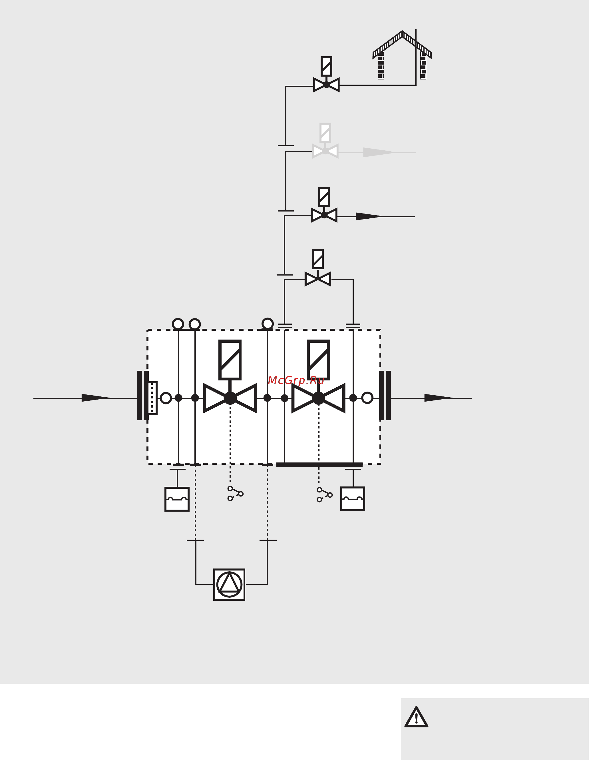 Dungs DMV-D 5100/12 Технические данные онлайн [5/6] 406025