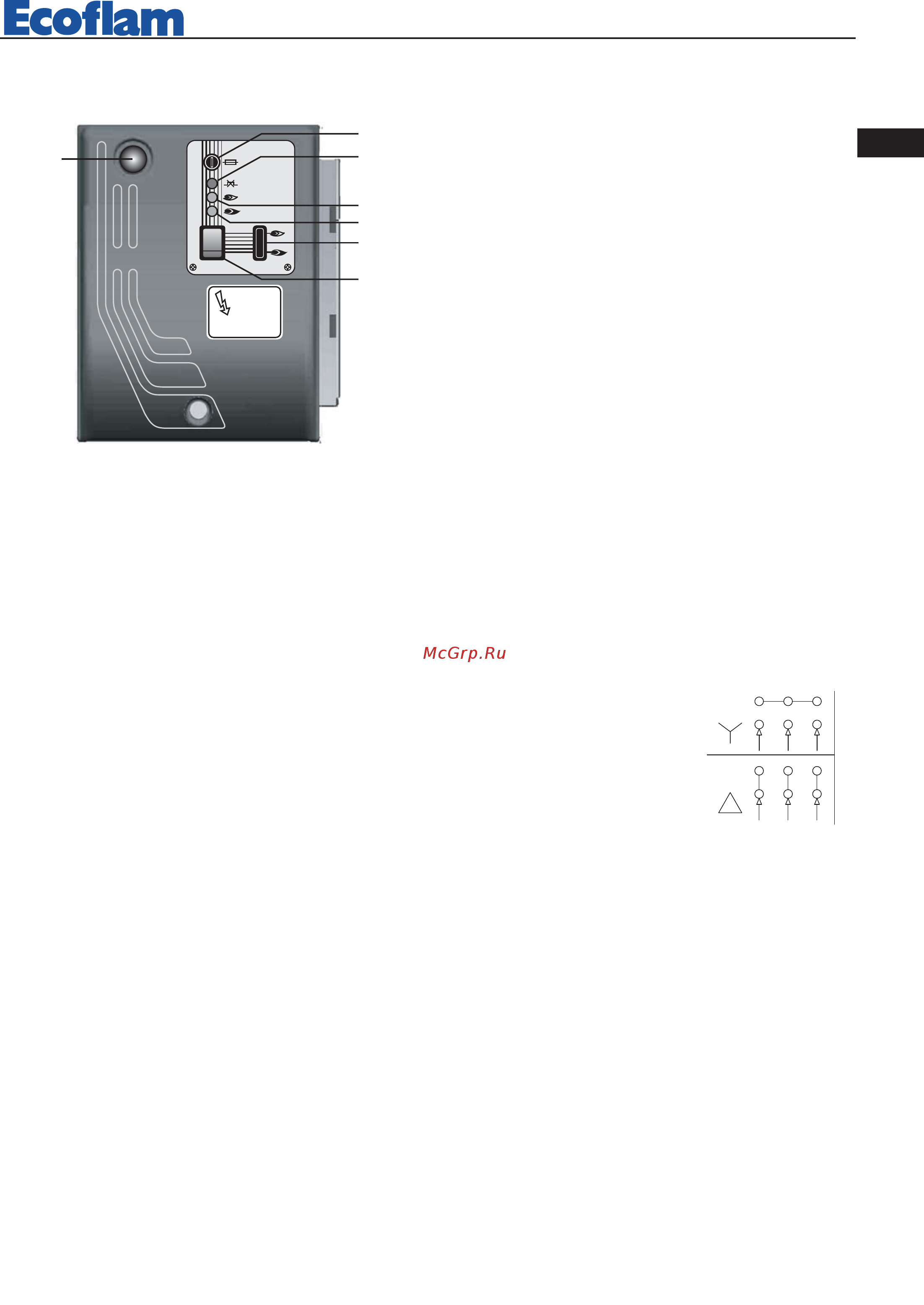 Ecoflam BLU 700.1 PAB Low NOx TC - MB-DLE 415 [9/24] Описание панели управления горелки