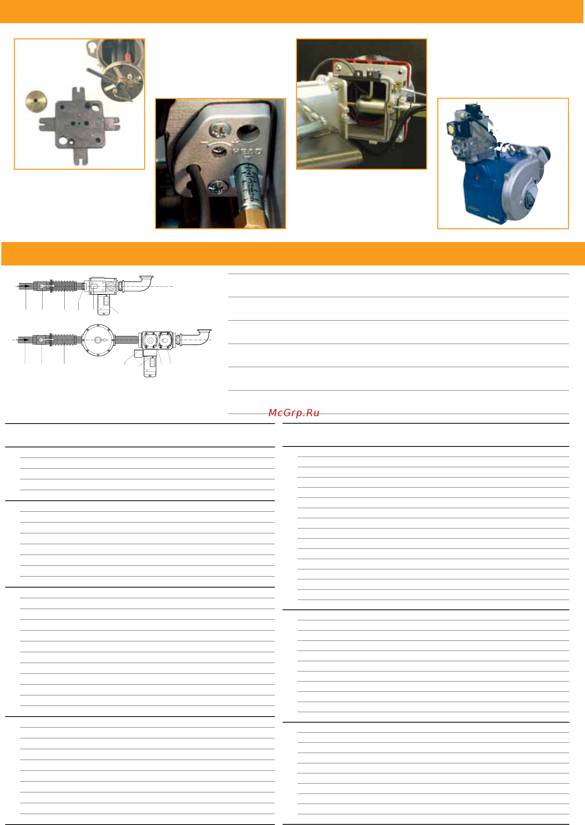 Ecoflam MAX GAS 350 PR ТC - MB-DLE 407 350/500 [6/10] Rampe gaz