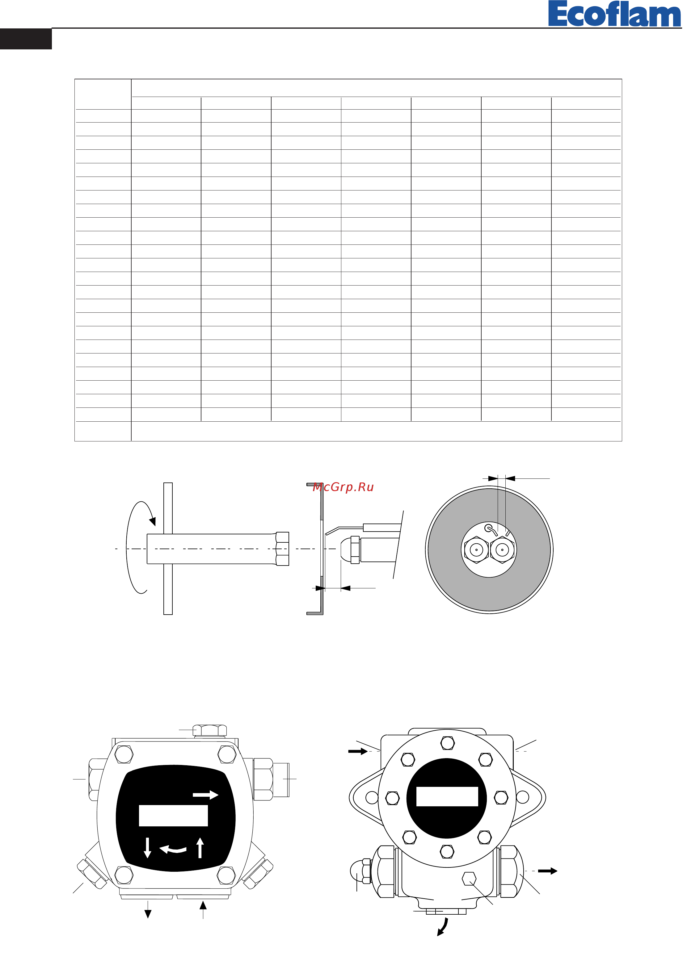 Ecoflam MAIOR P 200.1 AB HS ТL [10/40] Nozzle flow rate