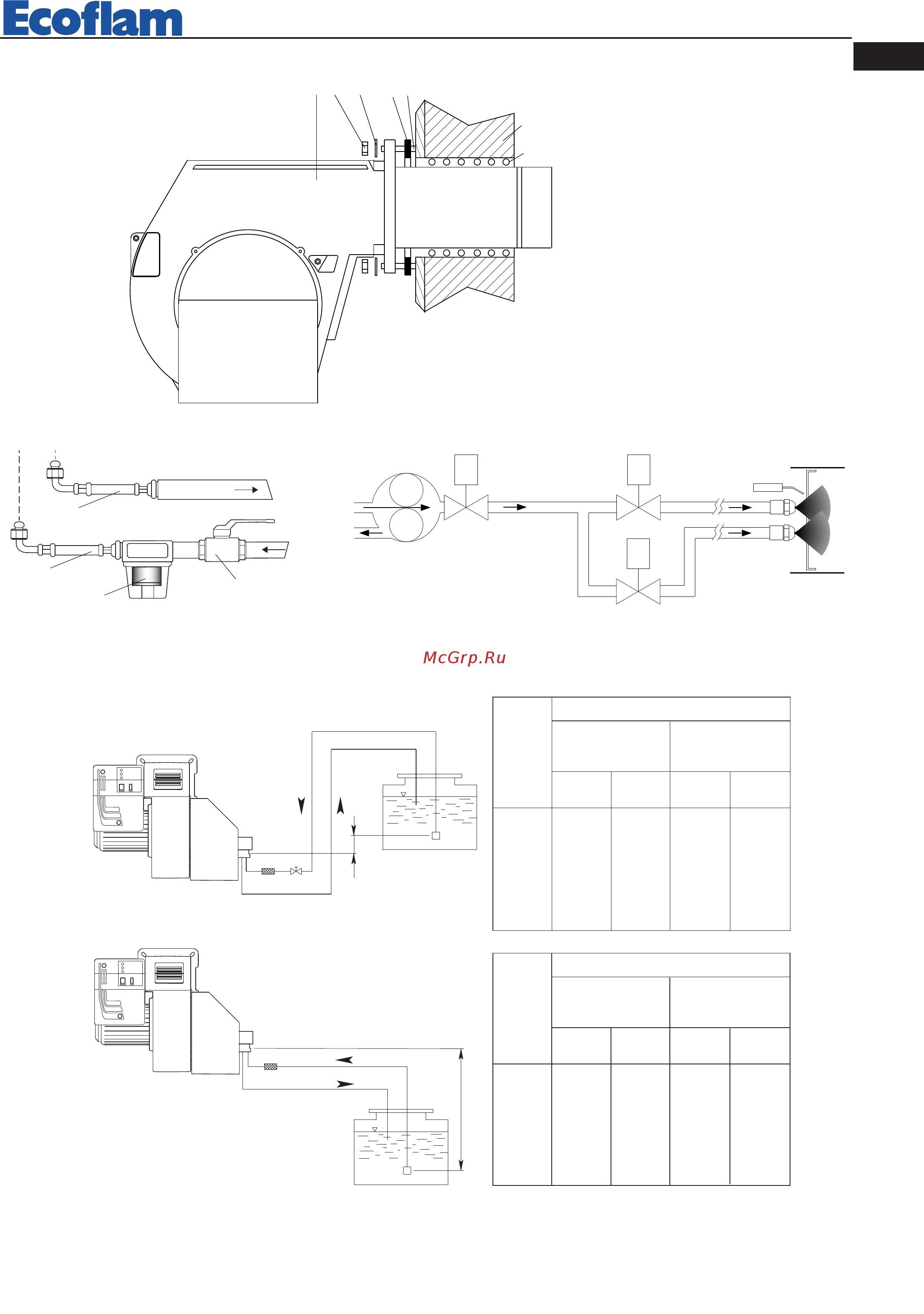 Ecoflam MAIOR P 200.1 AB ТC [9/40] Burner installation