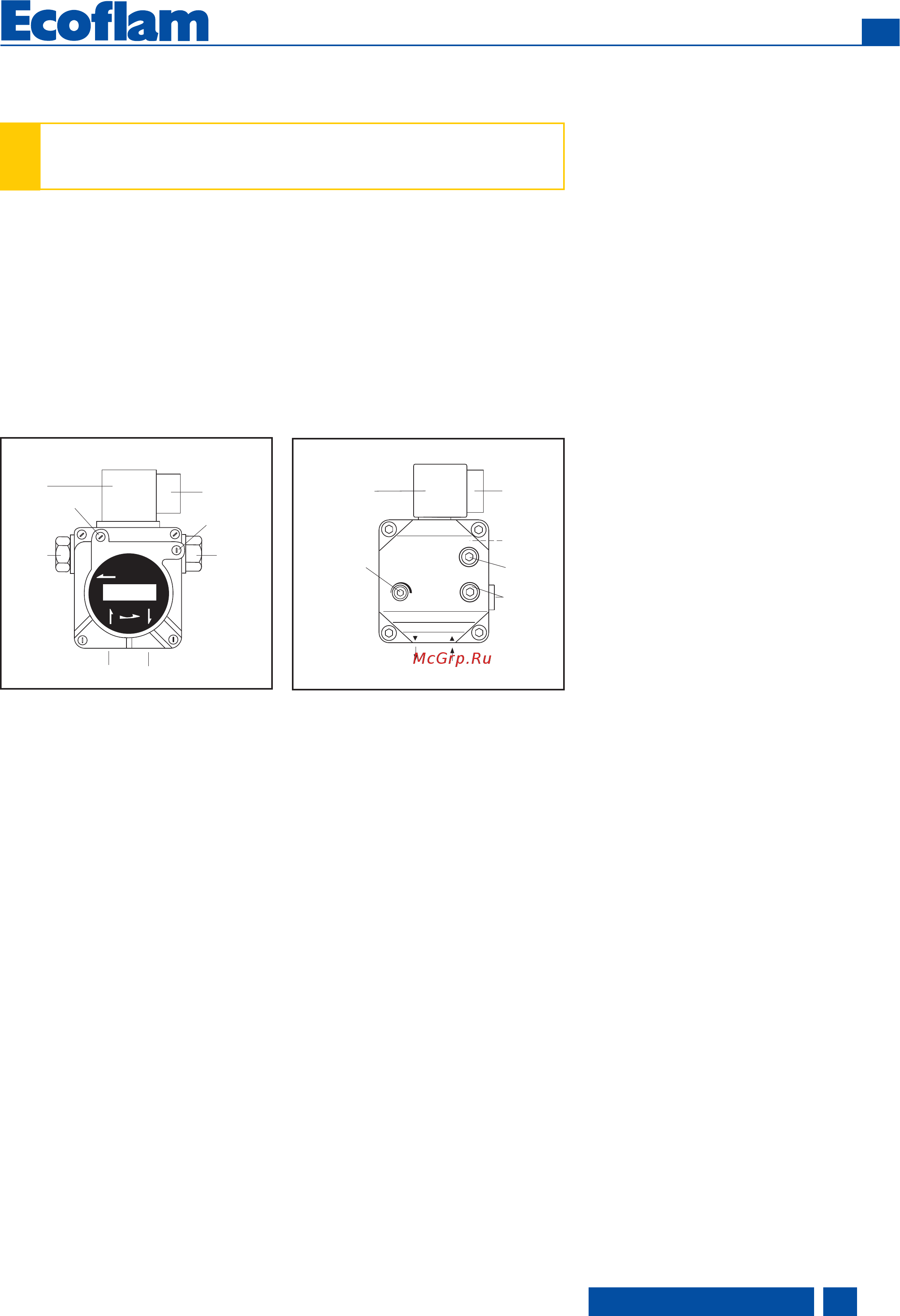 Ecoflam MAX 4 TW TL [63/72] Ввод в эксплуатаци