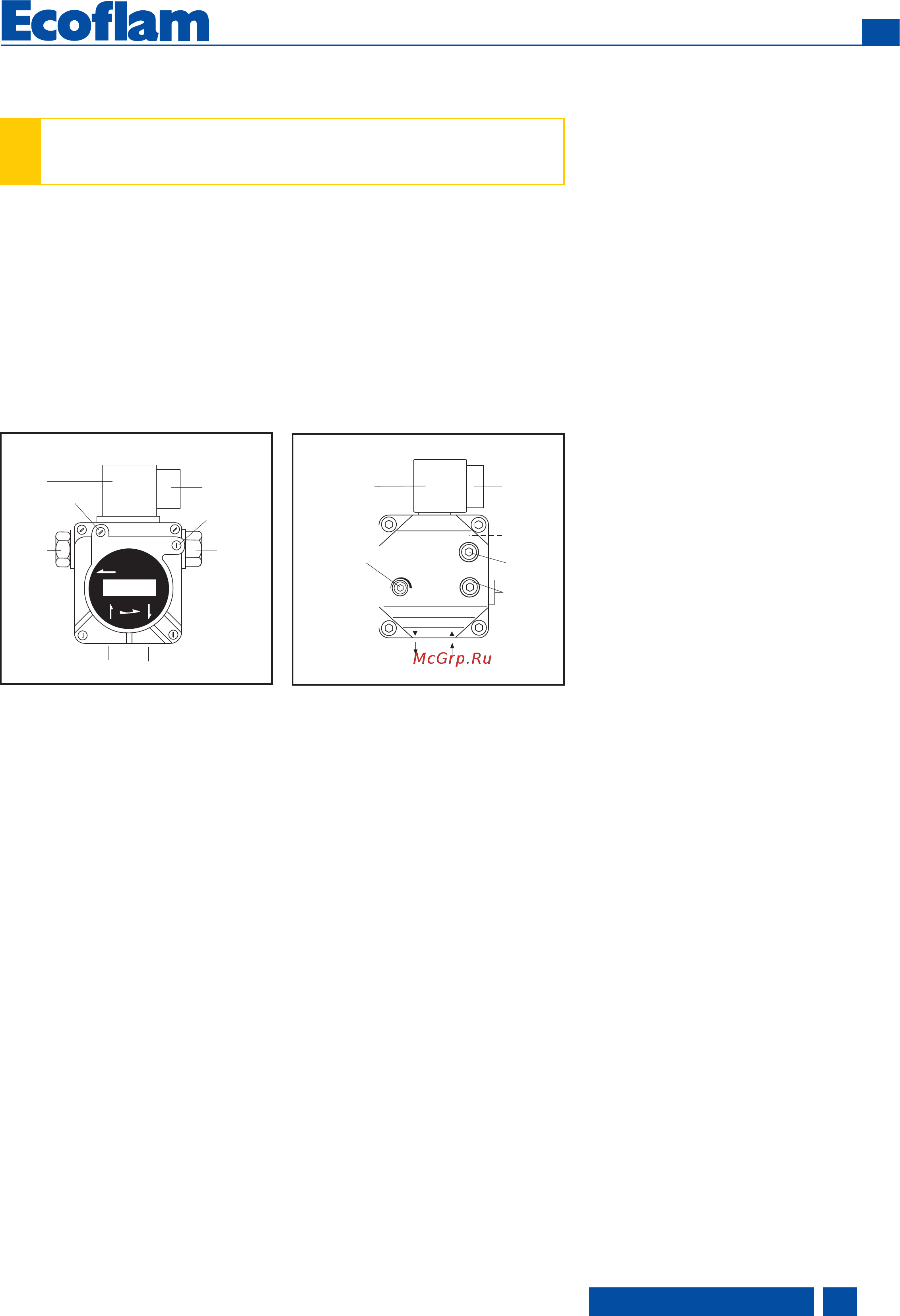 Ecoflam MAX 30 D HT TW TC [15/24] Ввод в эксплуатаци