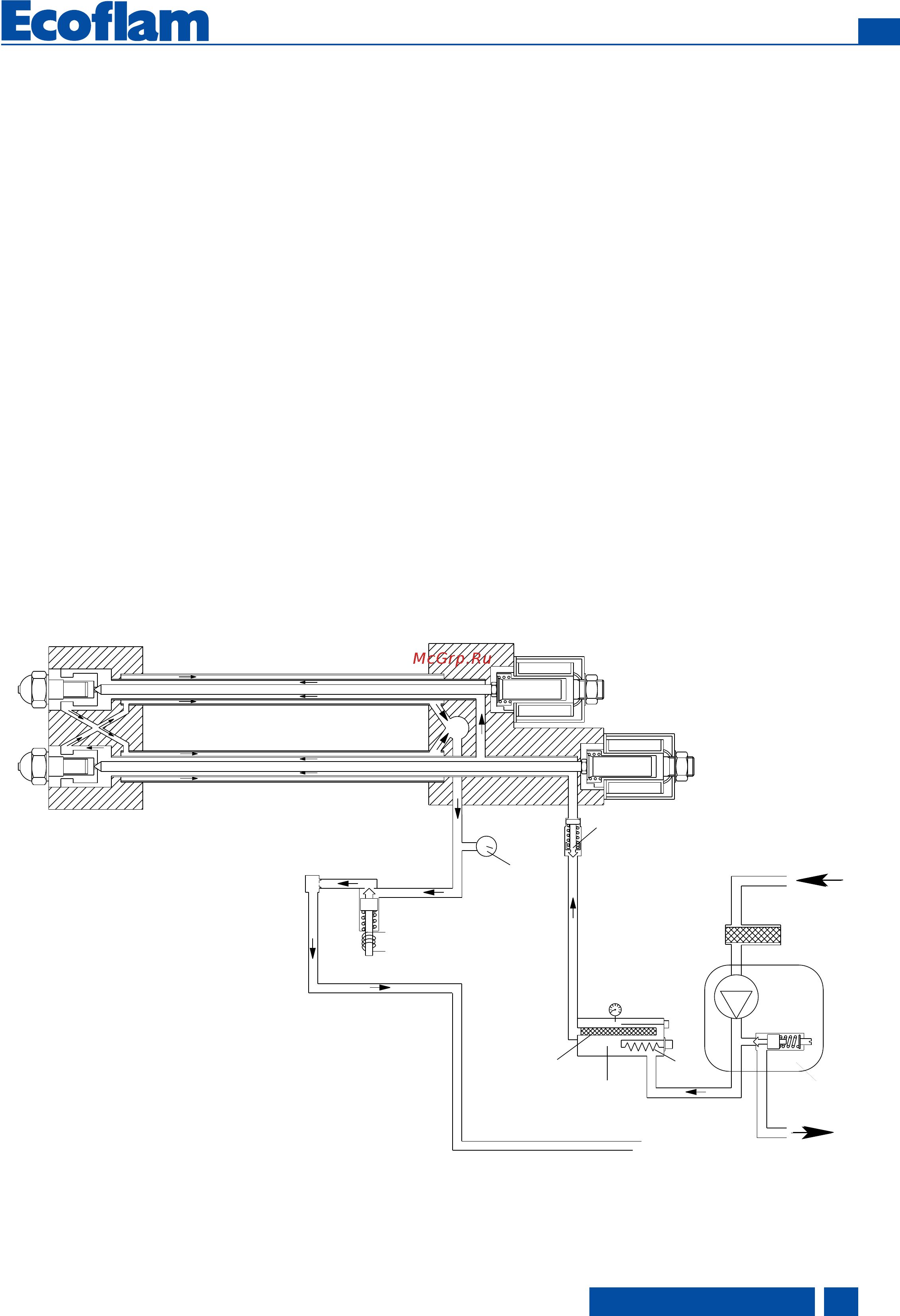 Ecoflam MAXFLAM 30 TL [21/52] Funzion