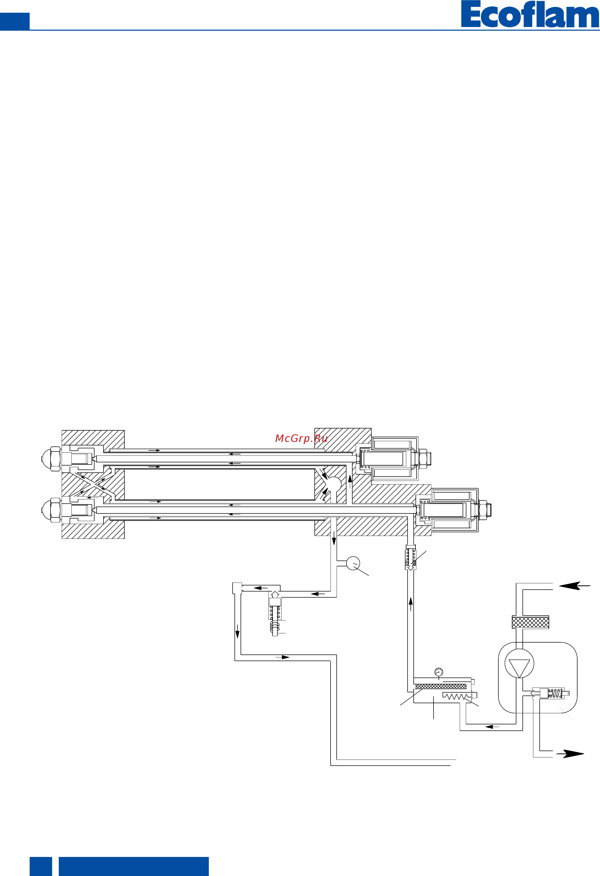 Ecoflam MAXFLAM 30 TL [8/52] Functio