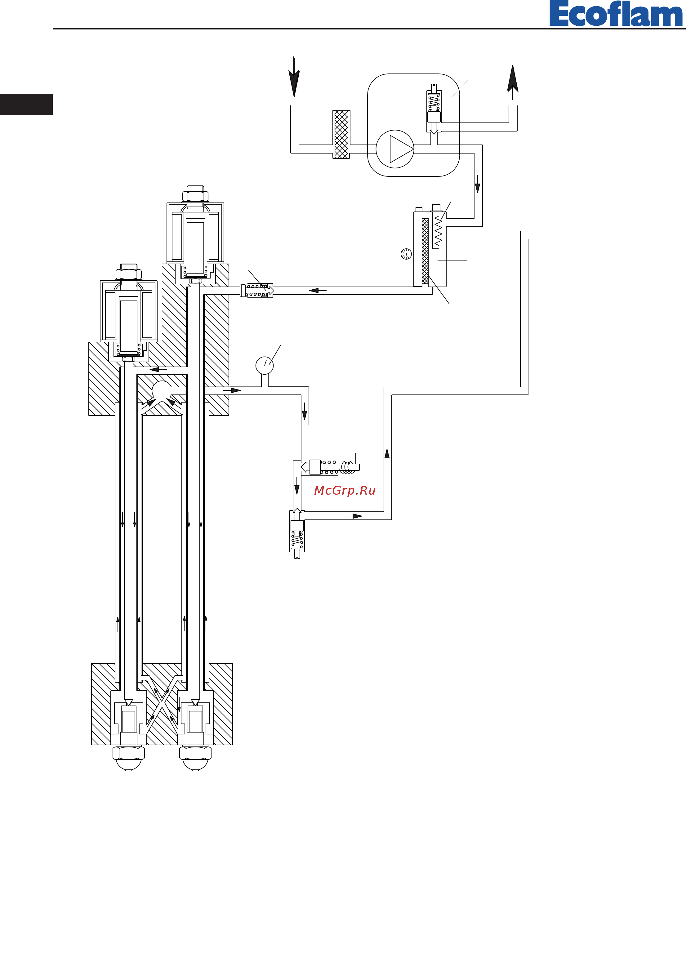 Ecoflam OILFLAM 170.1 AB ТL Инструкция по эксплуатации онлайн [62/84] 408257