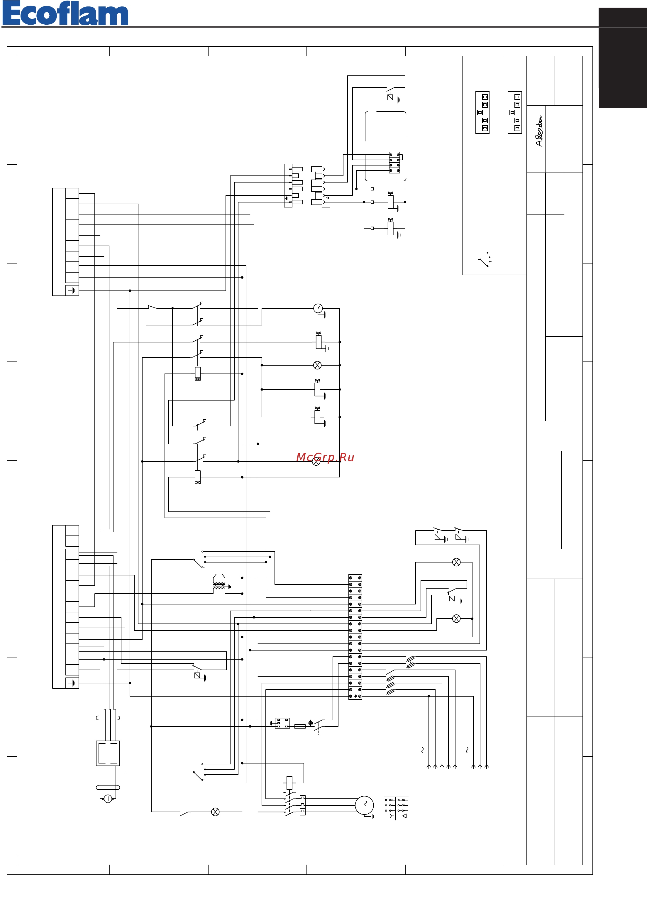 Ecoflam MULTICALOR 100 TL MB-DLE 415 [11/19] R d department