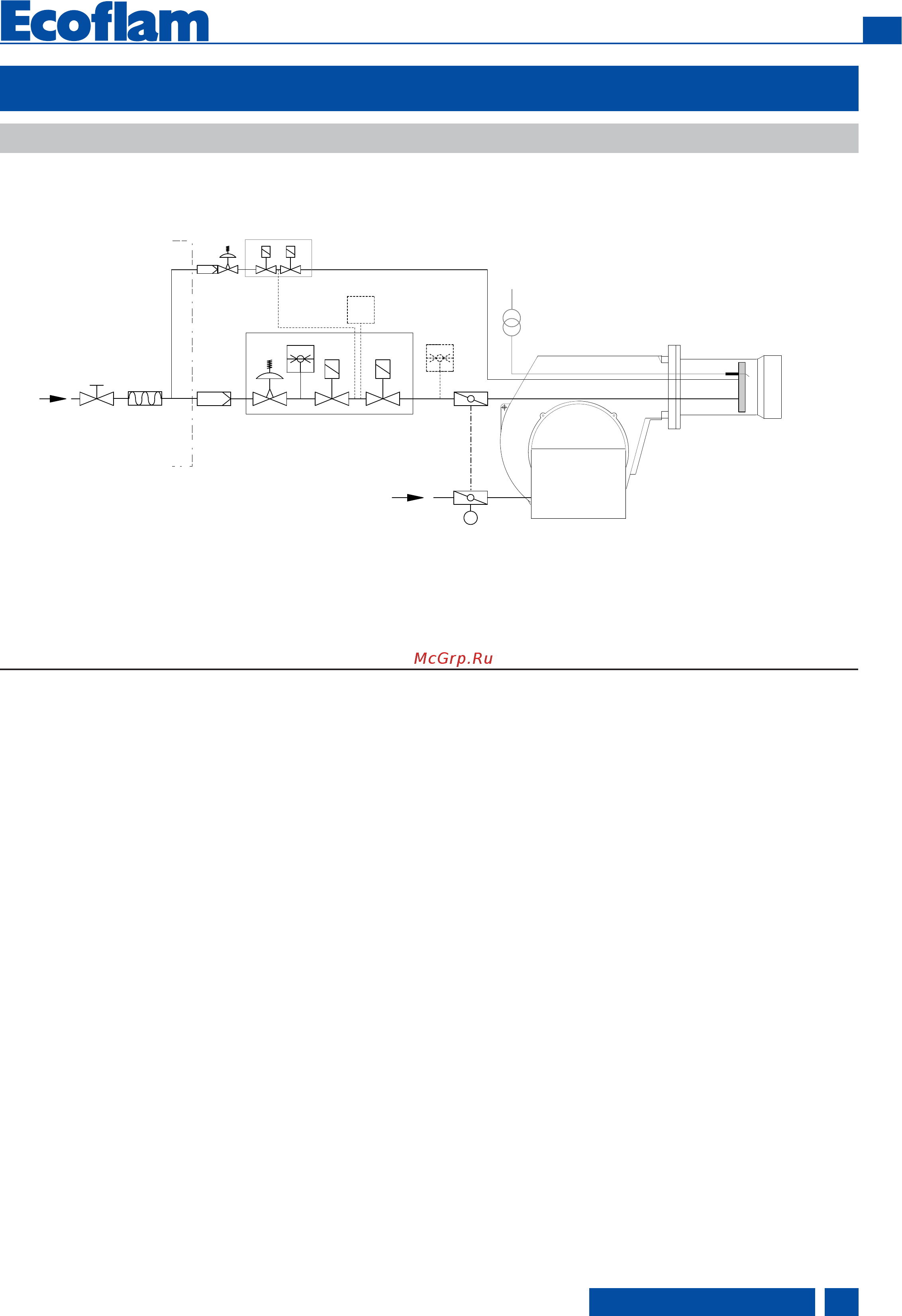 Ecoflam MULTICALOR 300.1 PR TC VGD 20.503 [15/44] Установка