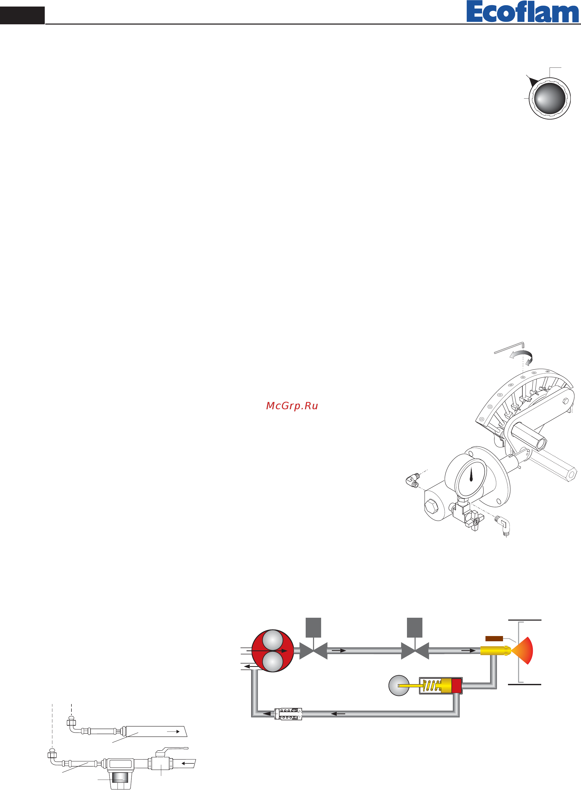 Ecoflam MULTICALOR 500.1 PR TC VGD 40.080 [10/80] Avviamento del bruciatore lato gasolio
