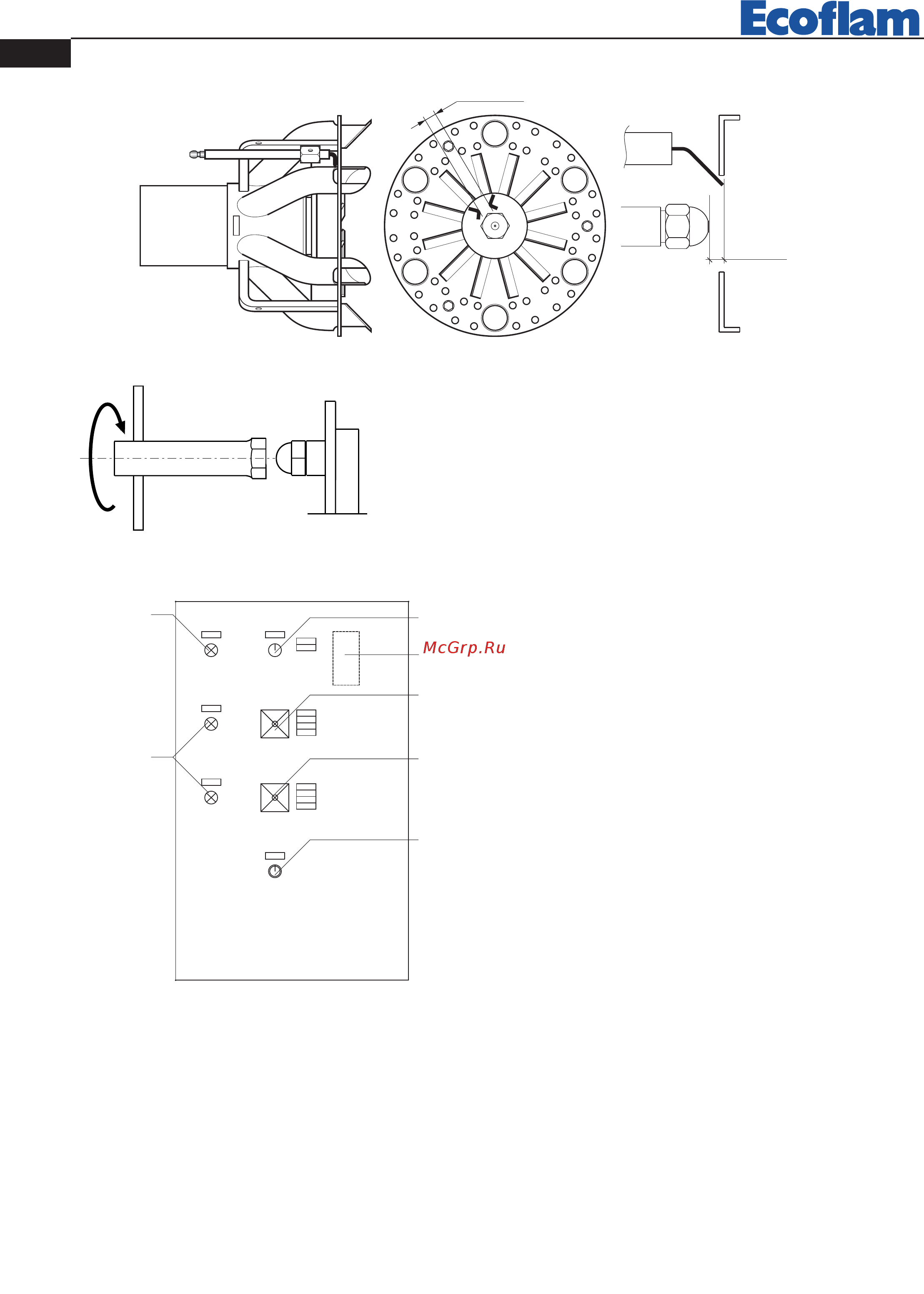 Ecoflam MULTICALOR 500.1 PR TC VGD 40.080 [26/80] Description of control panel