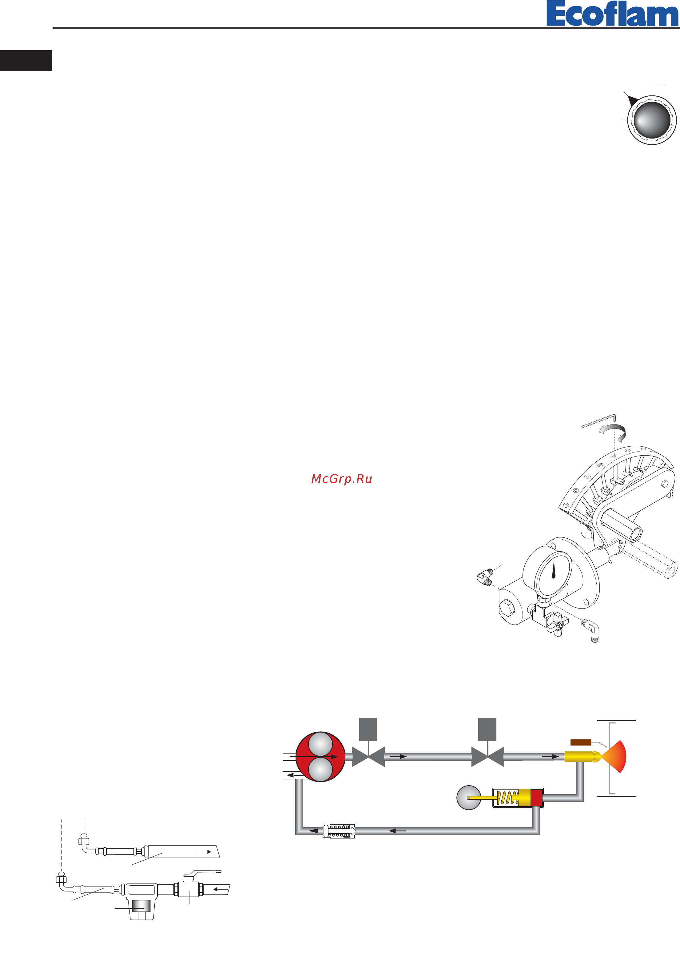 Ecoflam MULTICALOR 500.1 PR TC VGD 40.080 [40/80] Circuit hydraulique