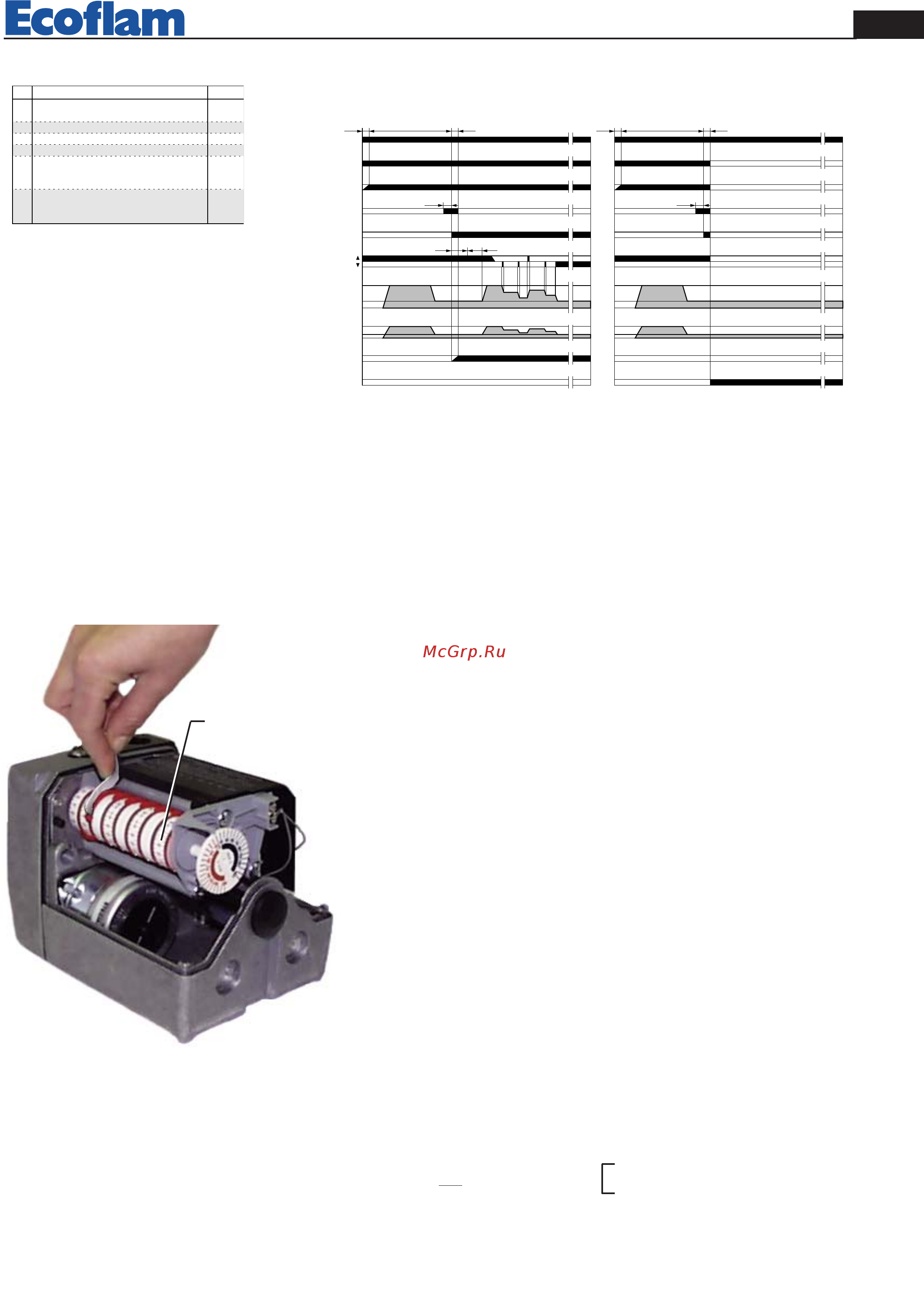 Ecoflam MULTICALOR 500.1 PR TC VGD 40.080 [5/80] Calcolo portata bruciatore