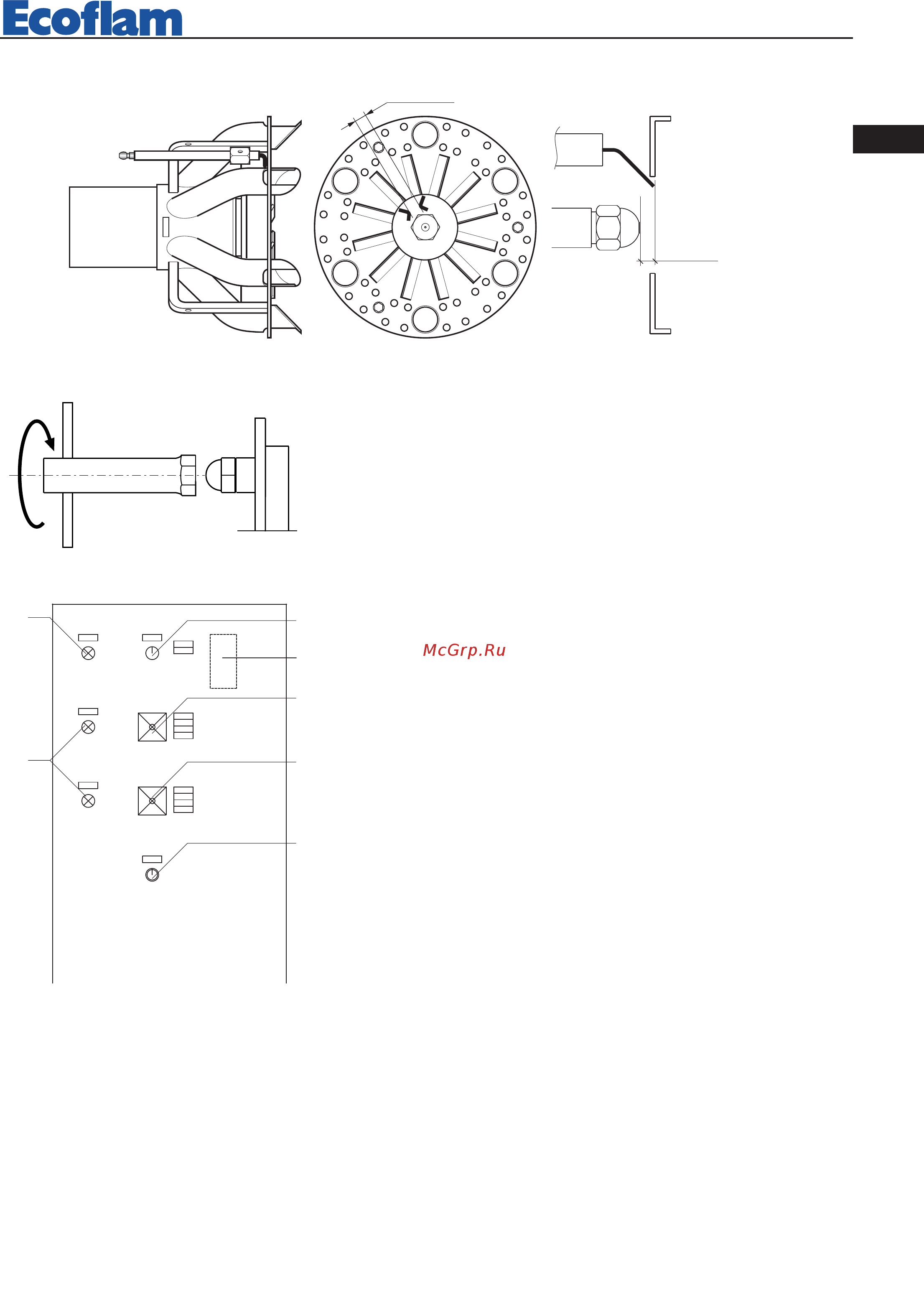 Ecoflam MULTICALOR 500.1 PR TC VGD 40.080 [71/80] Панель управления горелки