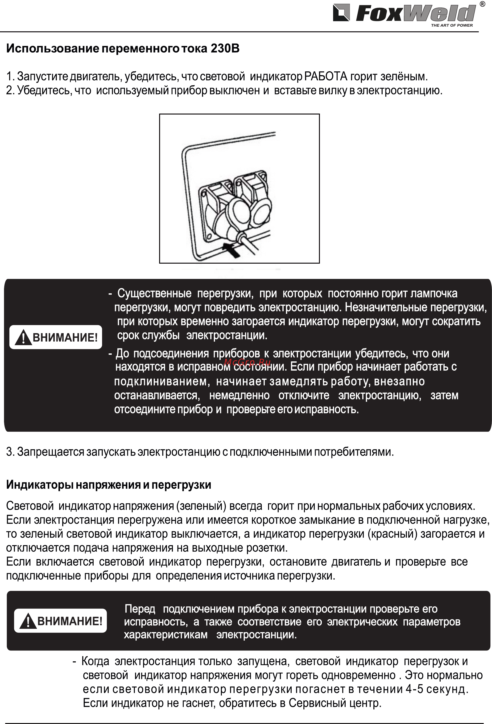 Foxweld GIN-1200 [10/19] Страница 10