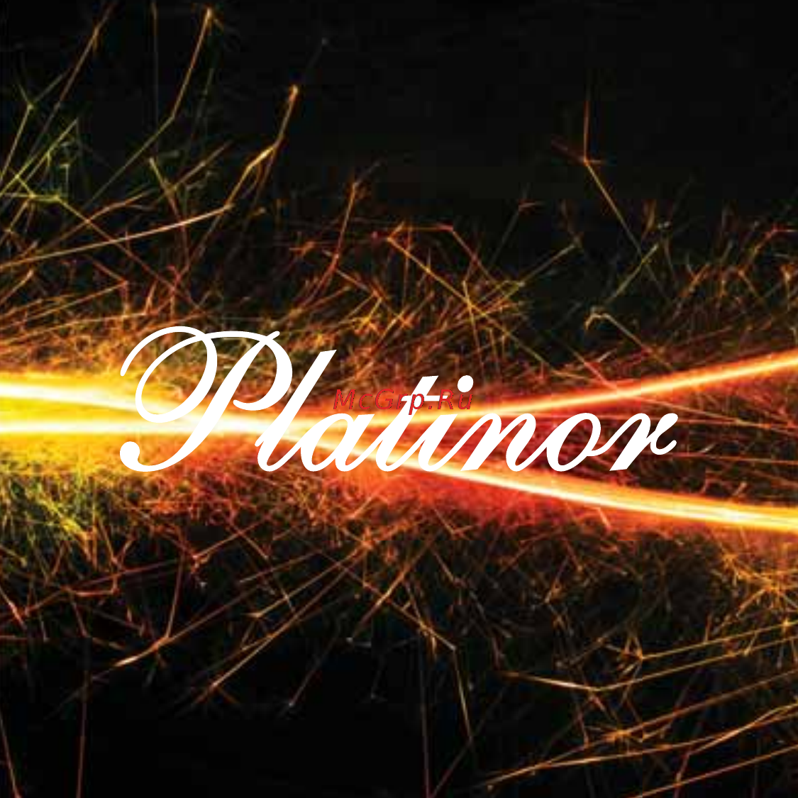 Platinor 200200.206 Инструкция по эксплуатации онлайн