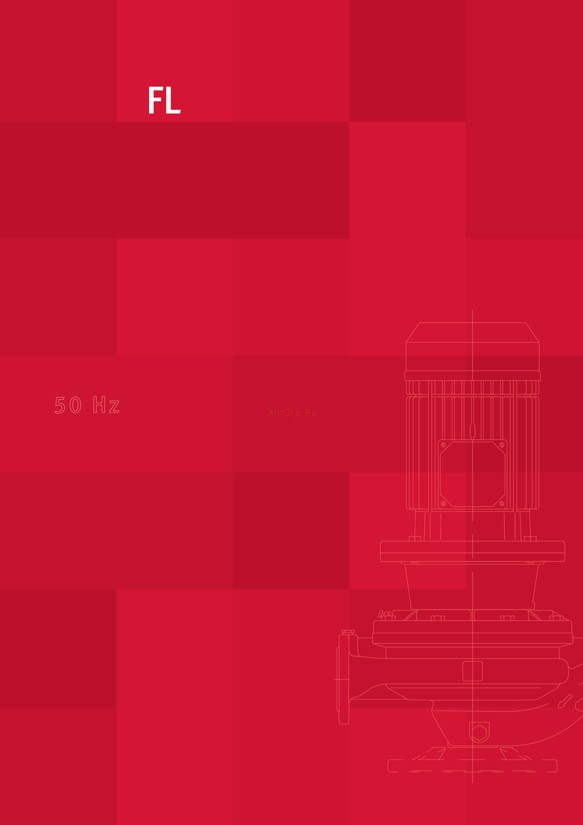 Espa FL 65-250/220 Технические данные онлайн [94/121] 417843