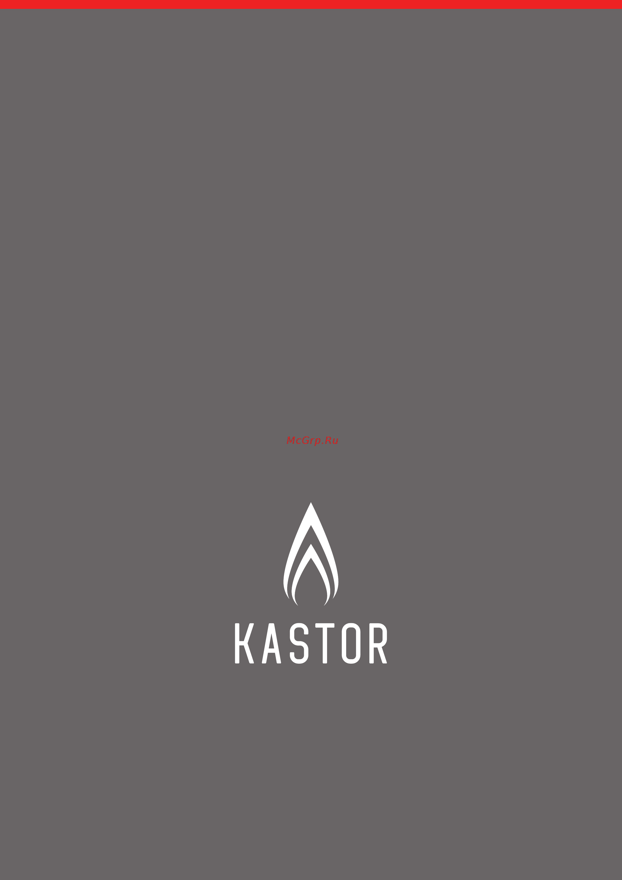 Kastor KT-H-20 Инструкция по эксплуатации онлайн