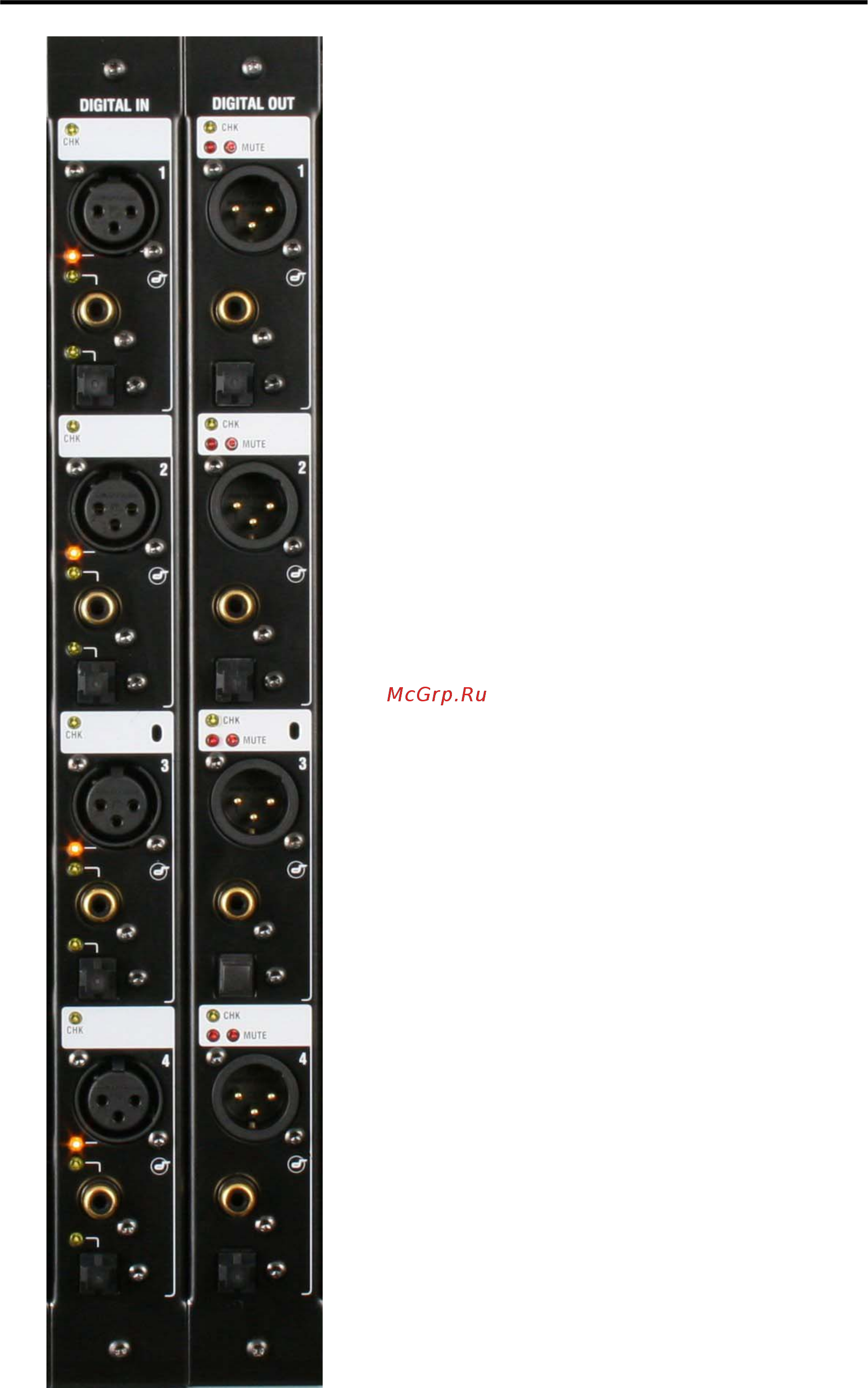 Allen&Heath iDR10 [12/23] Пции модуля цифровые входы и выходы