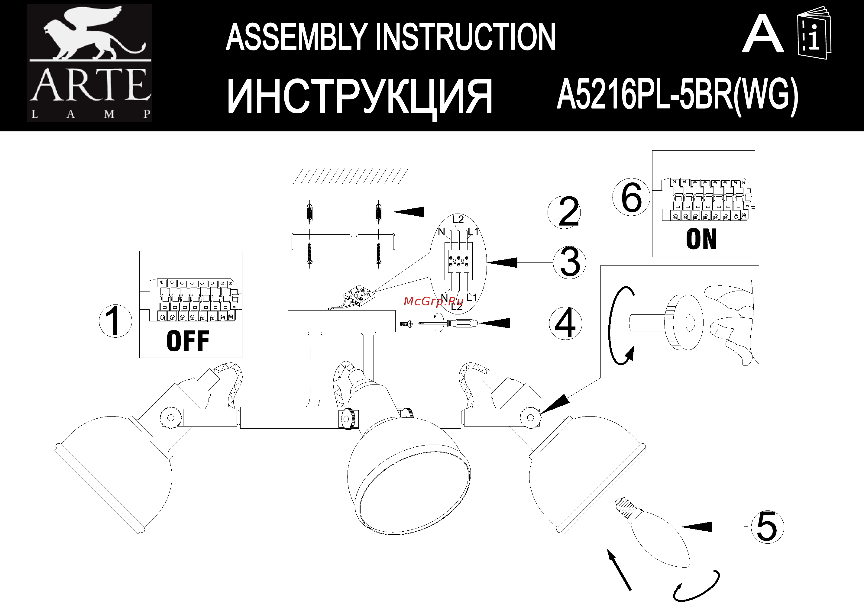 Arte Lamp Martin A5216PL-5WG Инструкция по монтажу онлайн