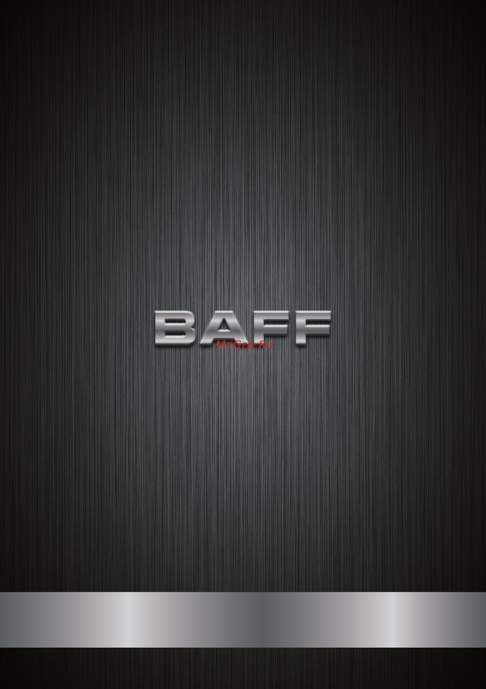 Baff 1CF 300 L2W Инструкция по эксплуатации онлайн