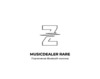 Z-project Musicdealer Rare (ZMDS-RDG) Руководство по эксплуатации