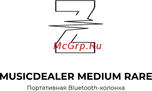 Z-project Musicdealer Medium Rare (ZMDS-MRDG) Руководство по эксплуатации онлайн