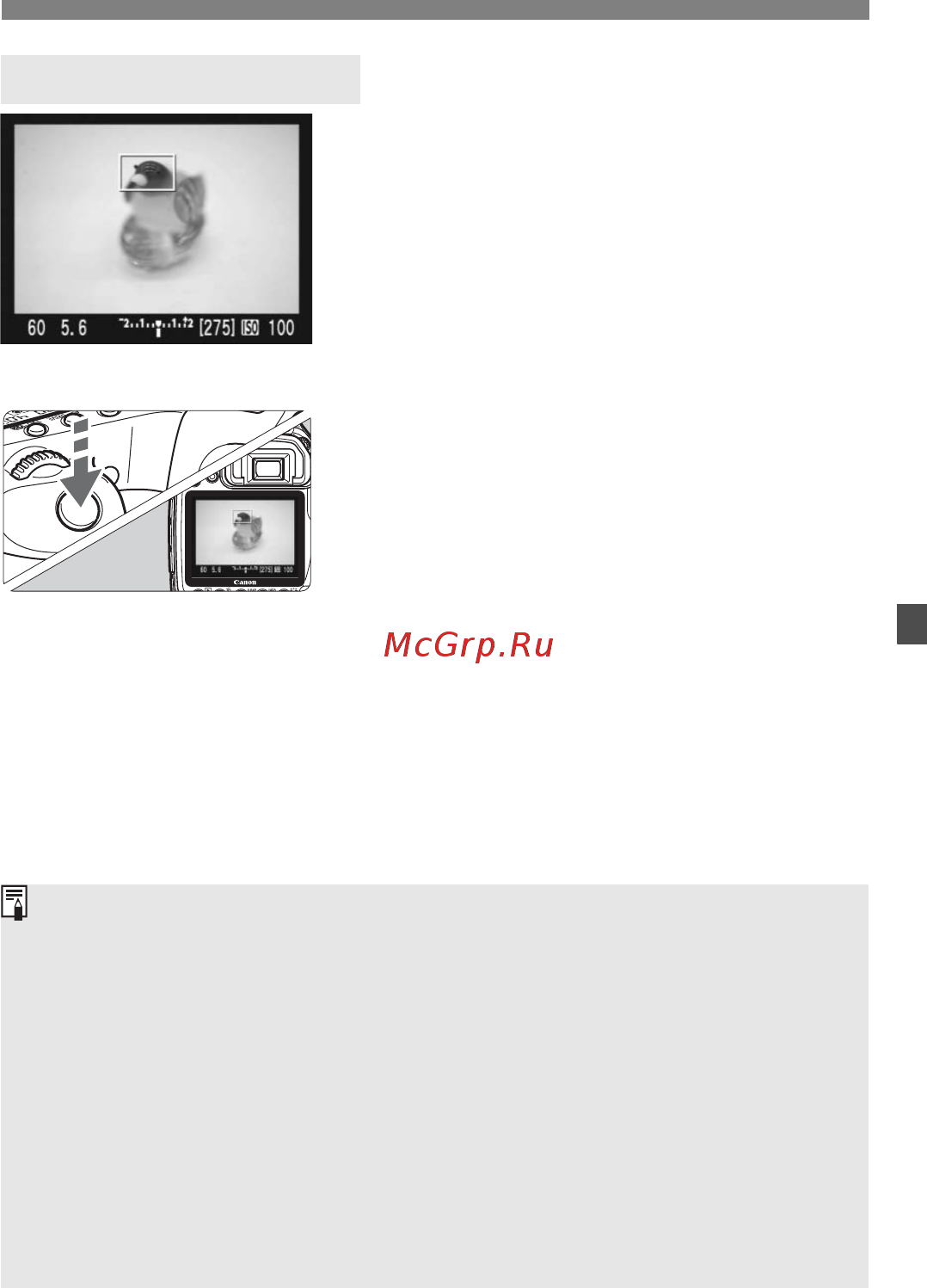 Canon EOS 40D 17-85 + 10-22 [111/196] Съемка изображения