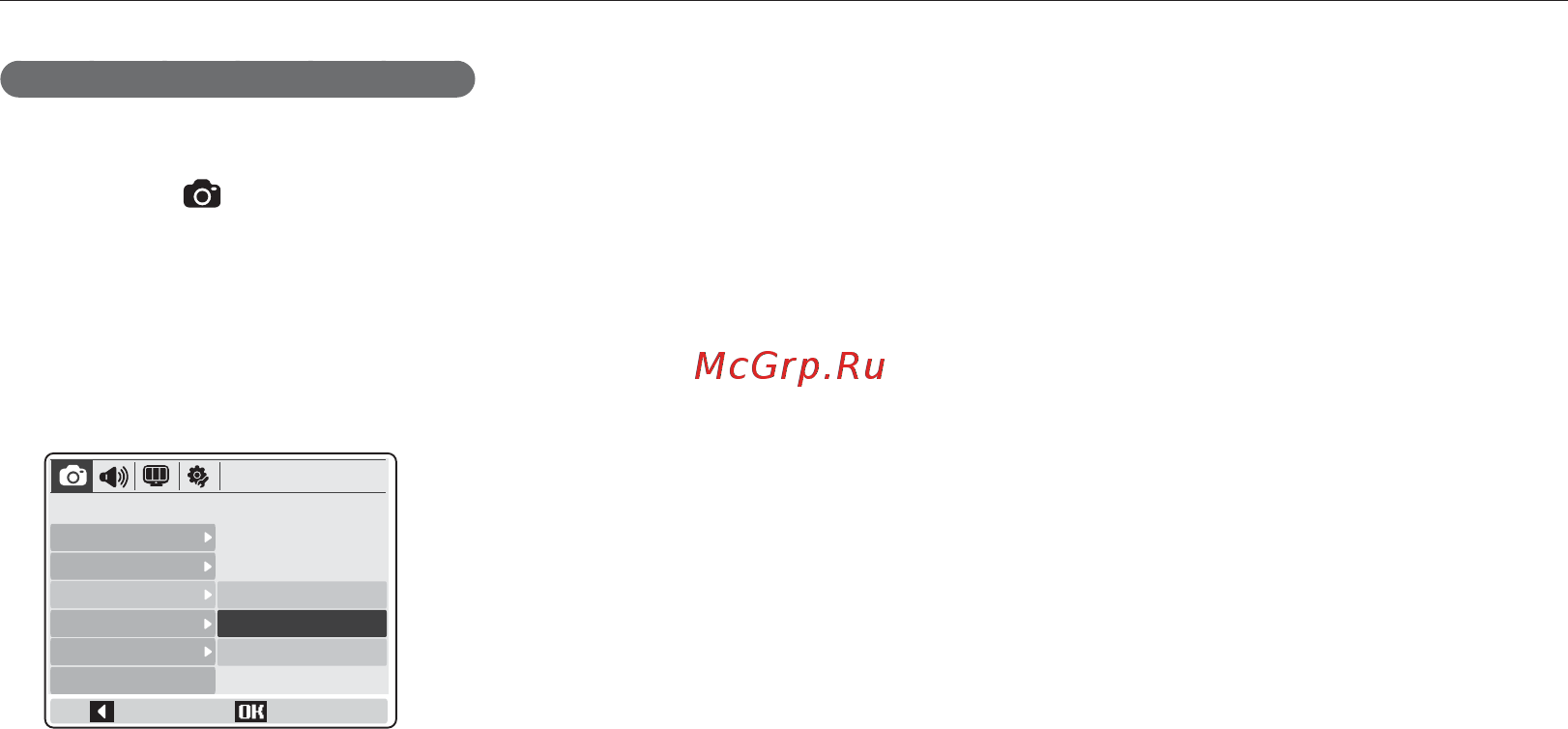 Samsung NV9 Silver [32/100] Использование режима программа