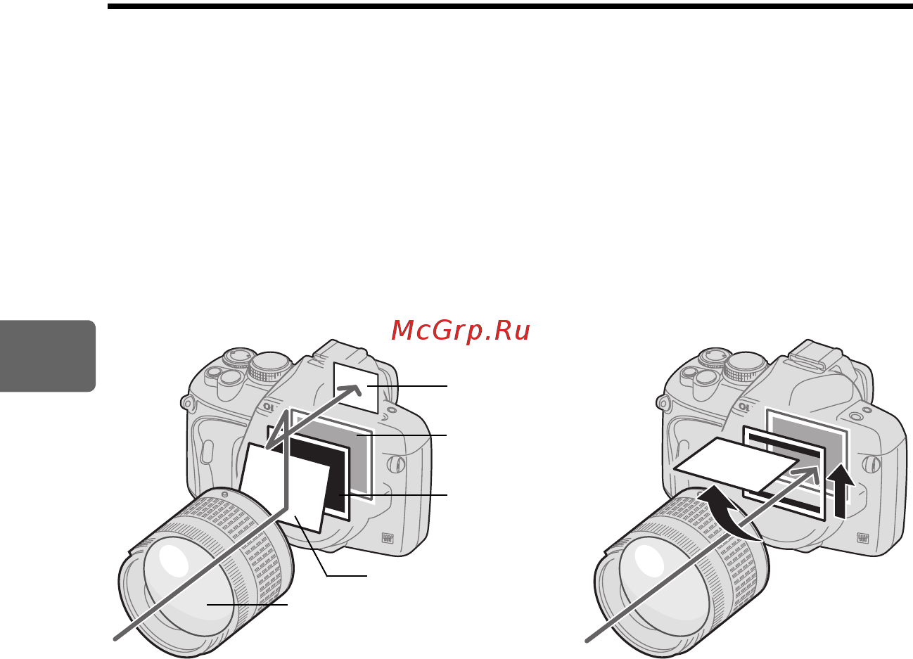 Olympus E420 EZ 17-45 Black [38/147] Действие режима живого изображения
