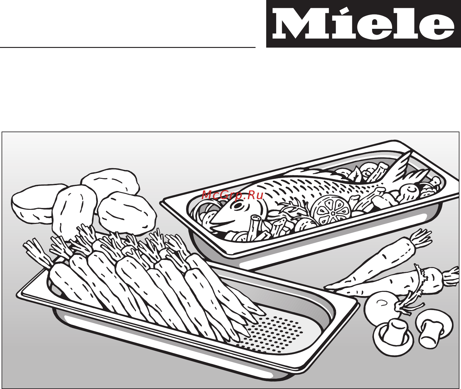 Miele DG 4050 ST Руководство по эксплуатации онлайн
