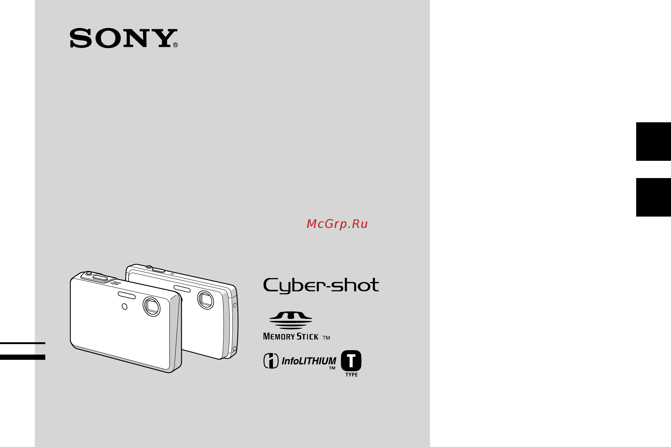 Sony DSC-T33/N Руководство по эксплуатации онлайн