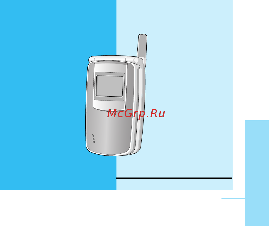 LG W7020 red Руководство по эксплуатации онлайн [2/97] 432042