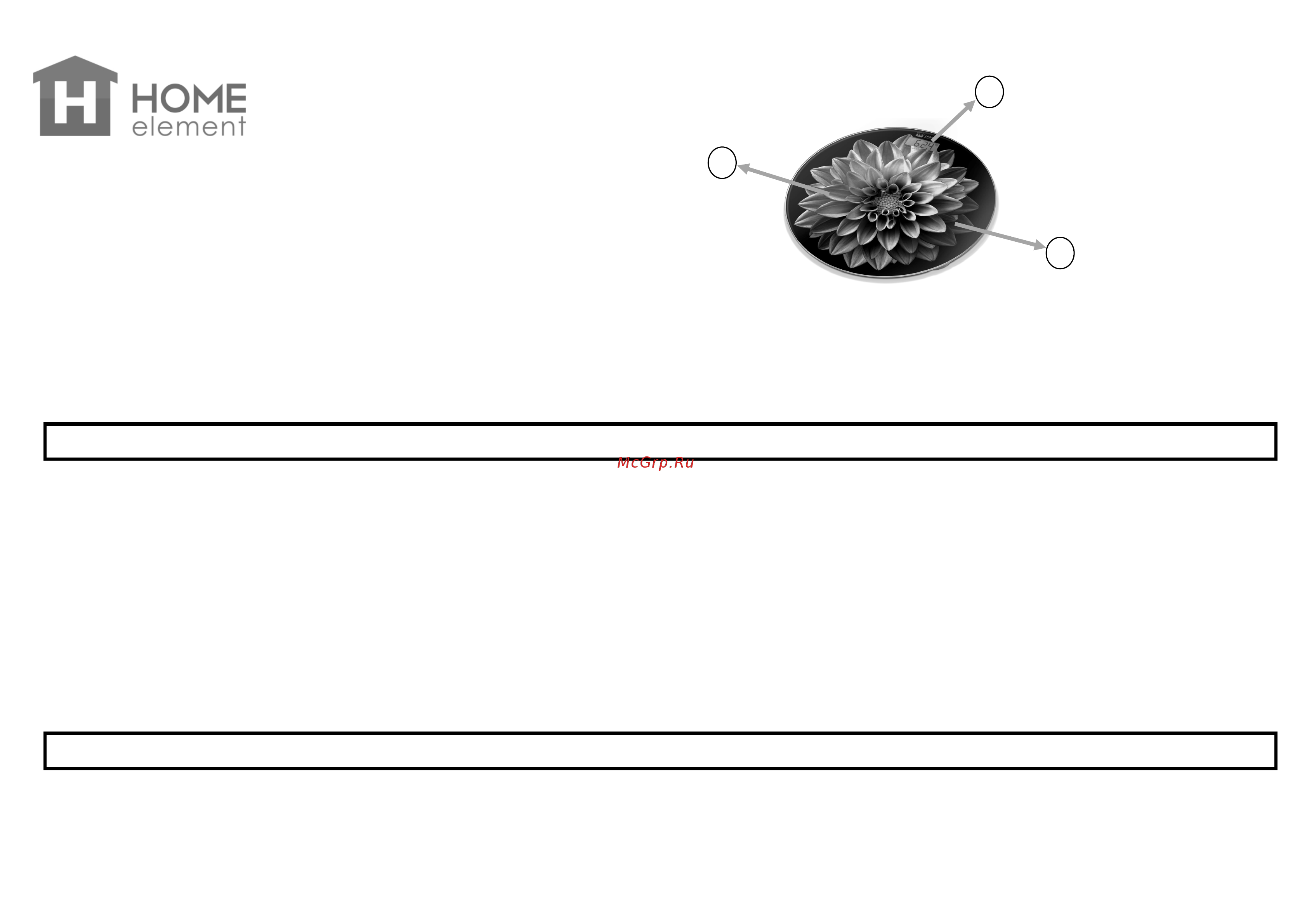 Home Element HE-SC908 вересковый луг [2/8] Перед первым использованием