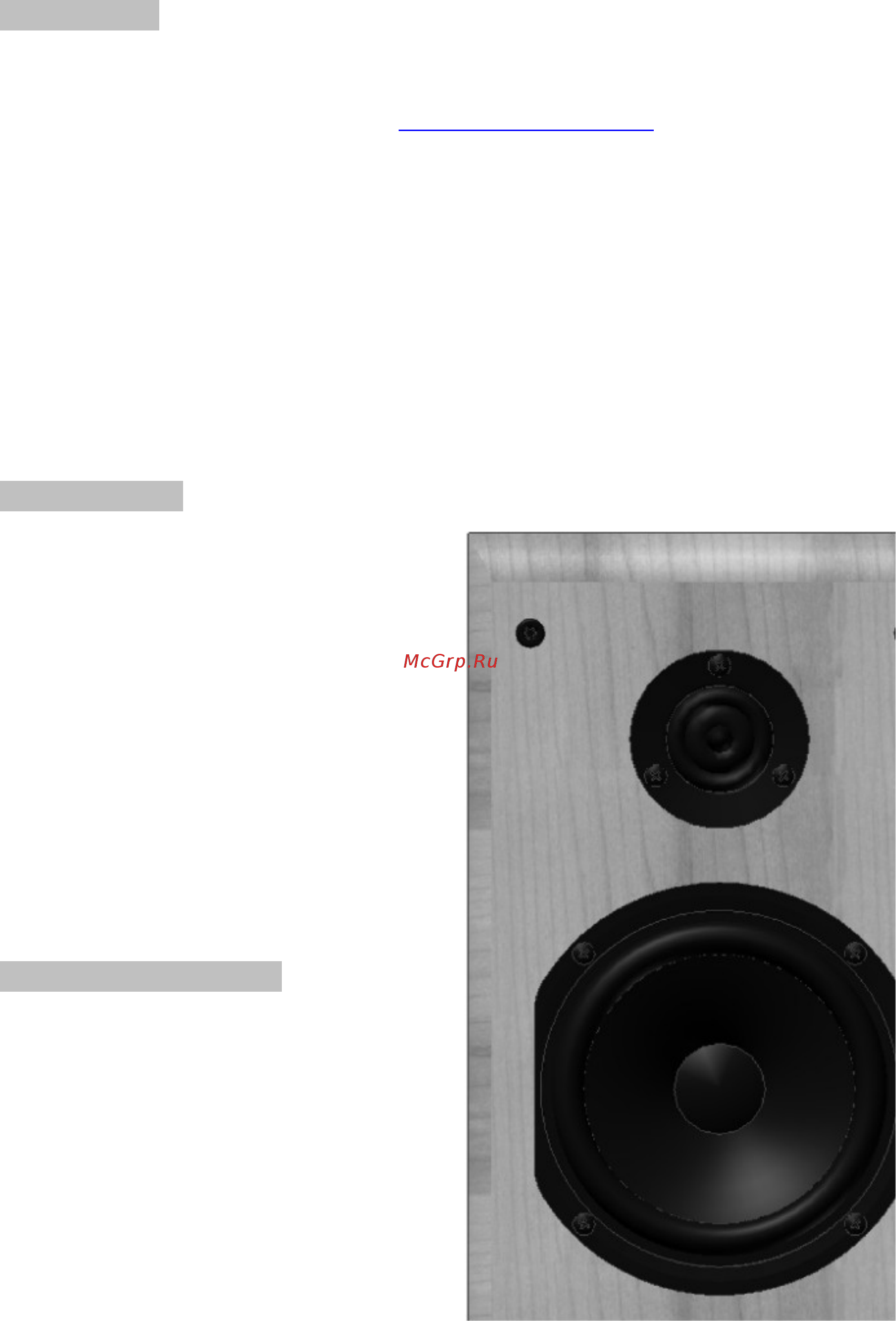 Acoustic Energy Neo Centre Dark [2/10] Введение