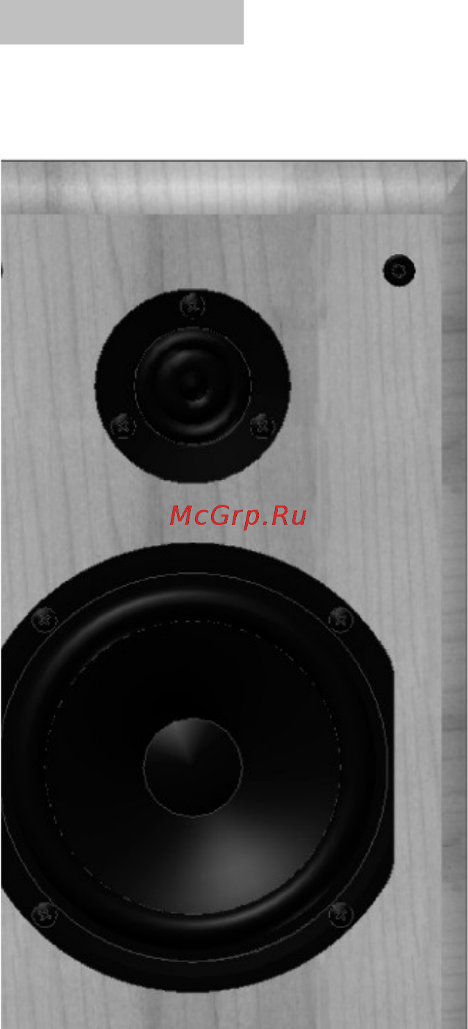 Acoustic Energy Neo One Dark [8/10] Компания acoustic energy гарантирует отсутствие первоначальных дефектов в материалах сборке и исполнении в течение трех лет со дня покупки