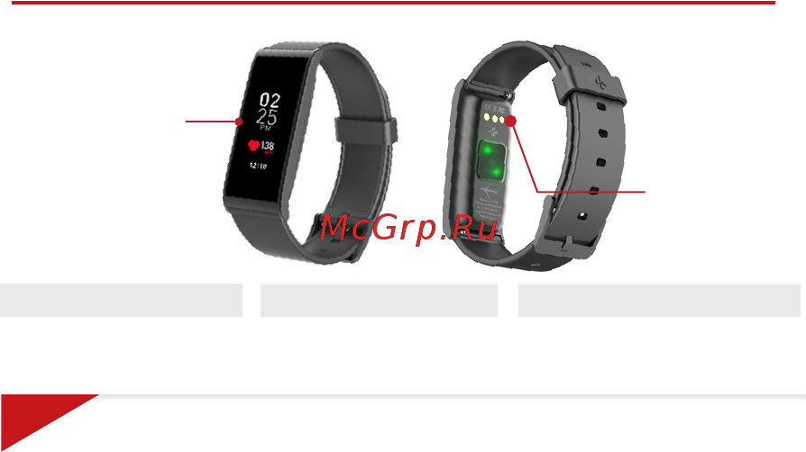 MyKronoz ZeFit4HR Red/Silver [3/101] Зарядные клеммы