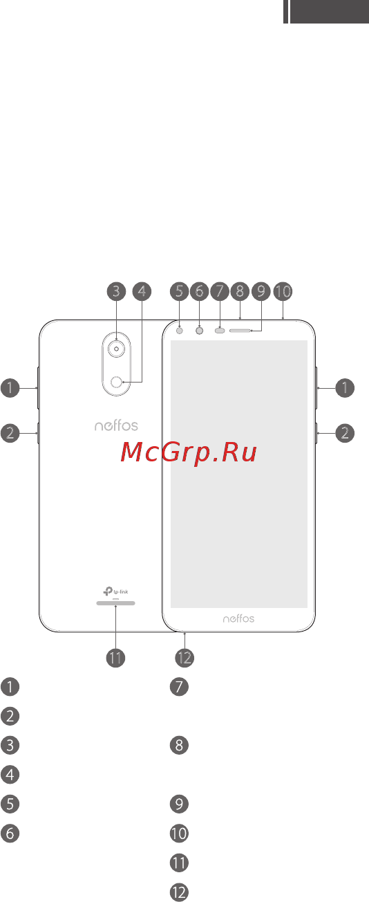 Neffos C5 Plus Grey 8GB (TP7031A) [2/41] Общий вид
